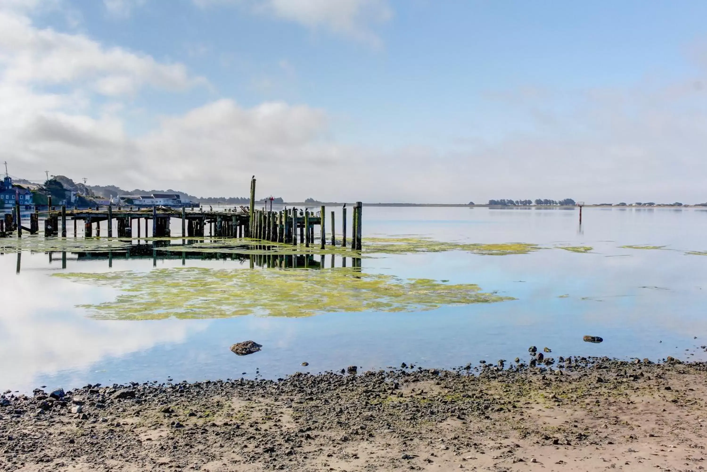 Bayside Cottage