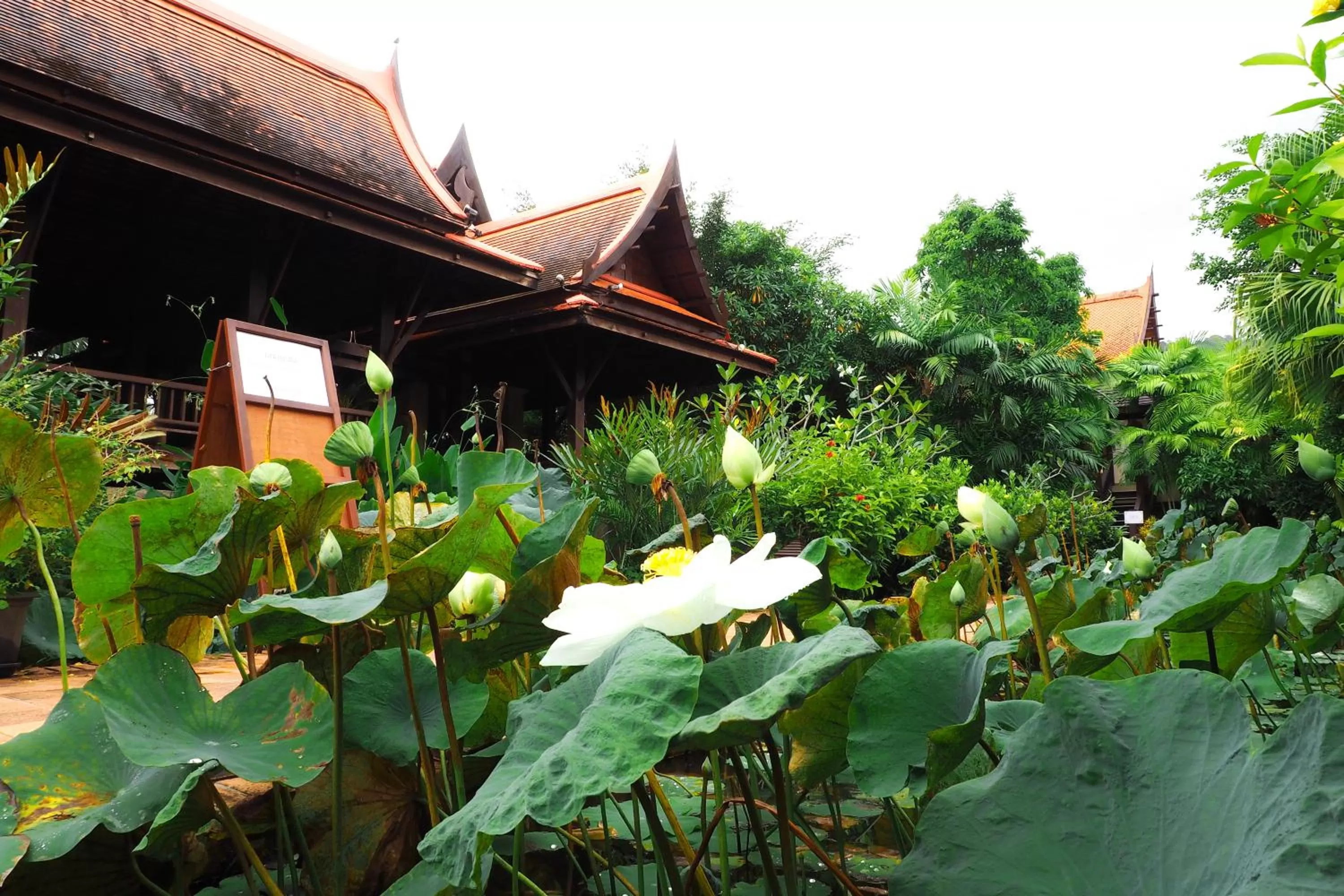 Garden in Khaolak Bhandari Resort & Spa