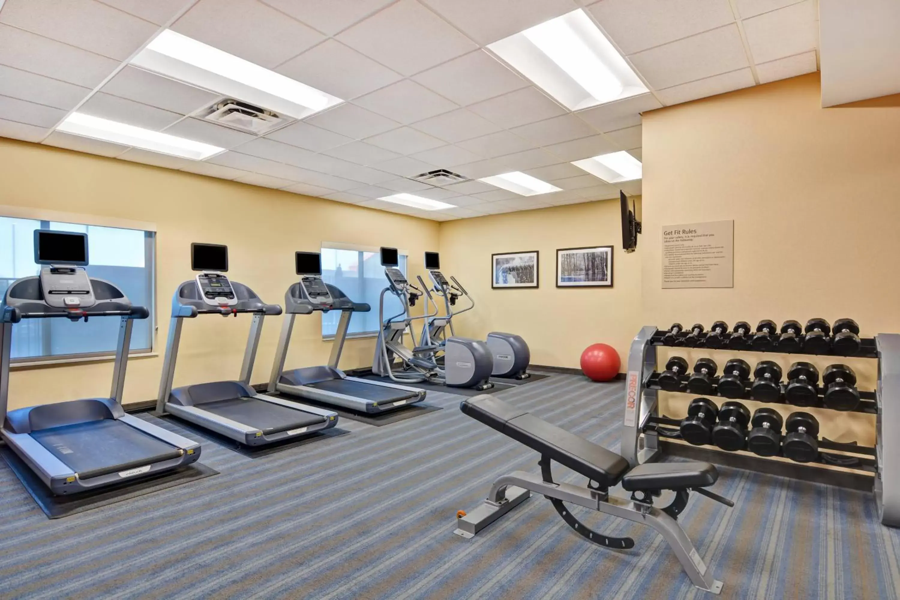 Fitness centre/facilities, Fitness Center/Facilities in TownePlace Suites by Marriott Alexandria