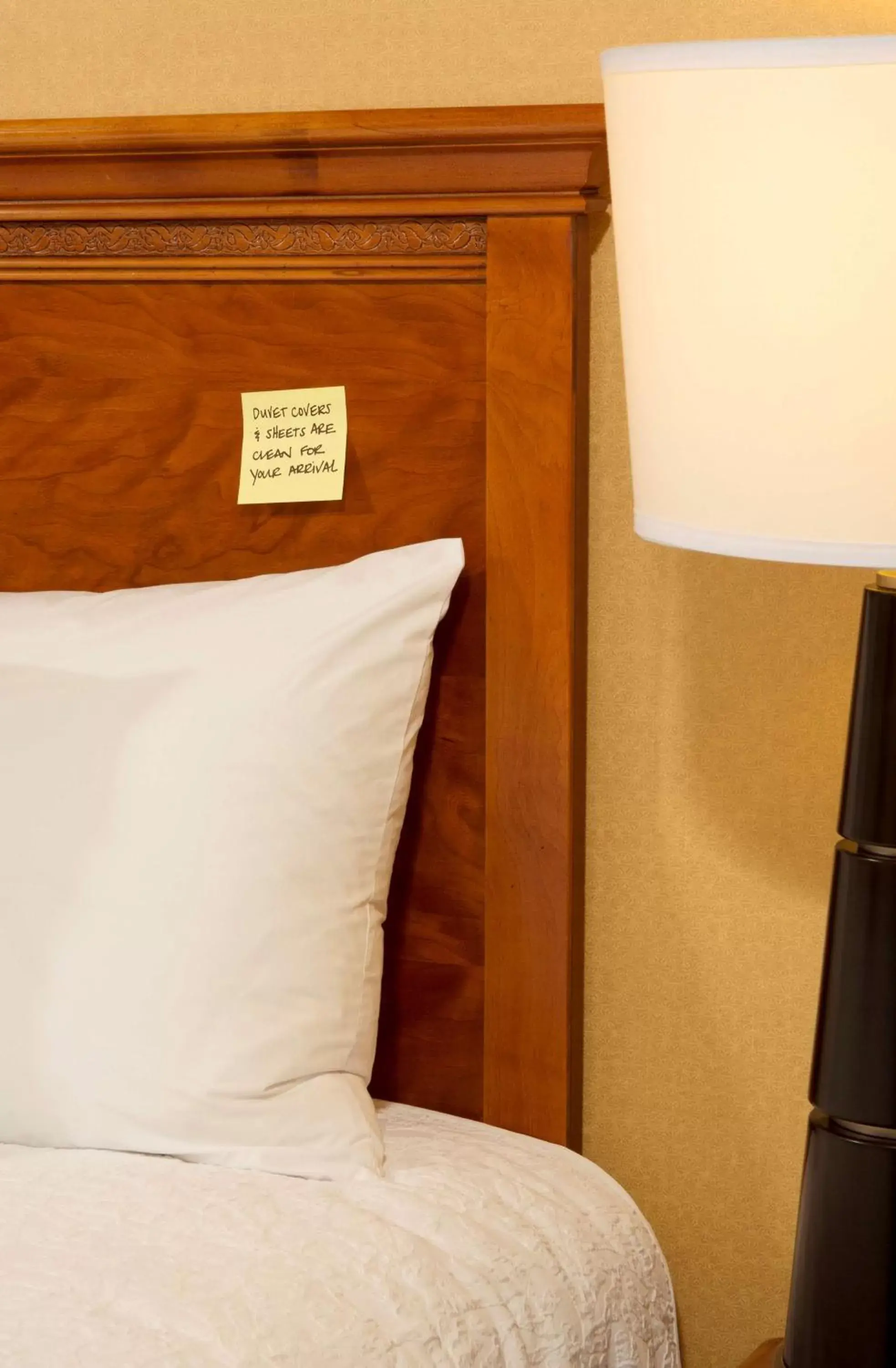 Bed in Hampton Inn Alexandria Bed in Hampton Inn Alexandria