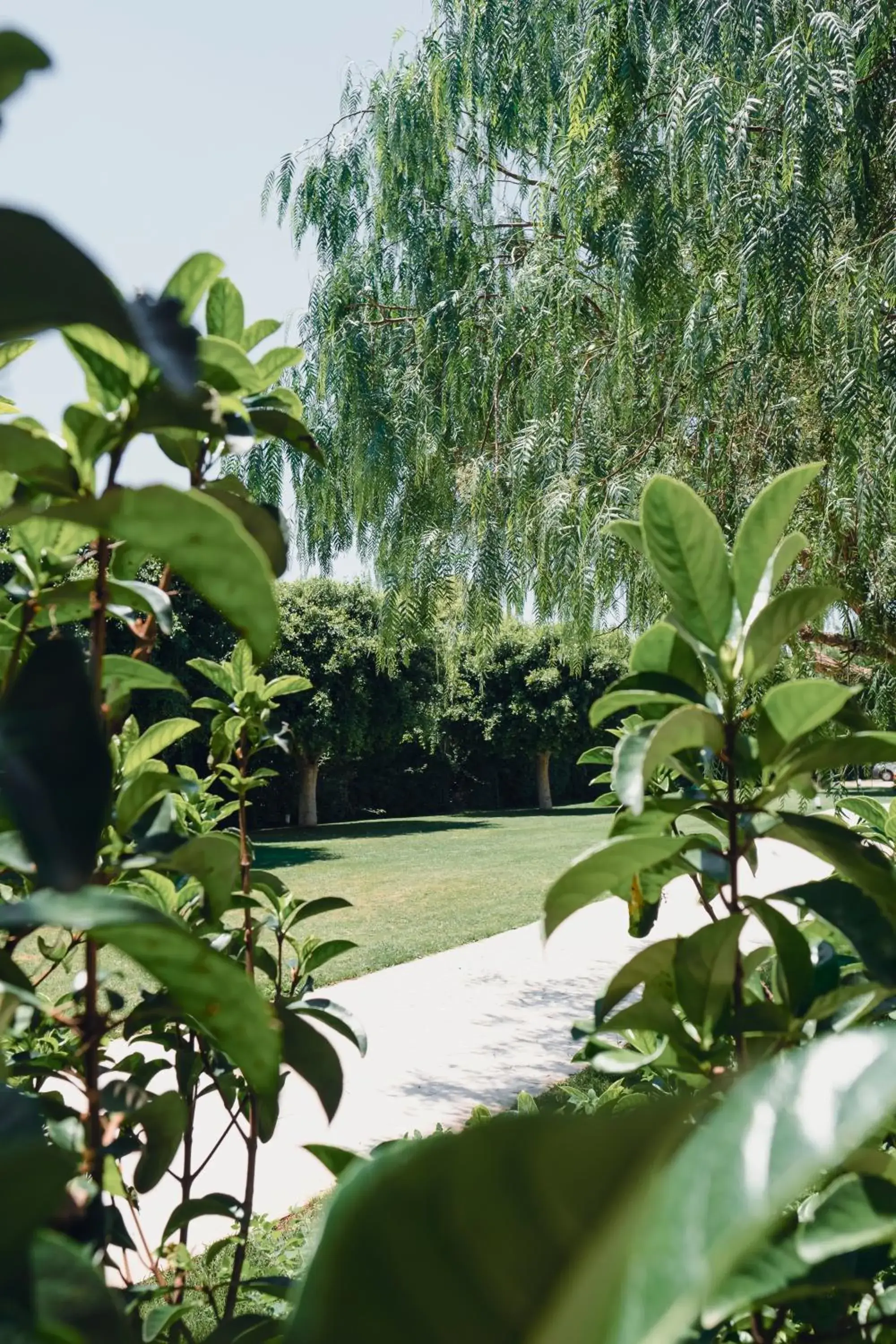 Garden in Modica Palace Hotel