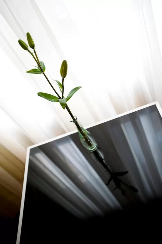 Alcoholic drinks in Hotel El Churra