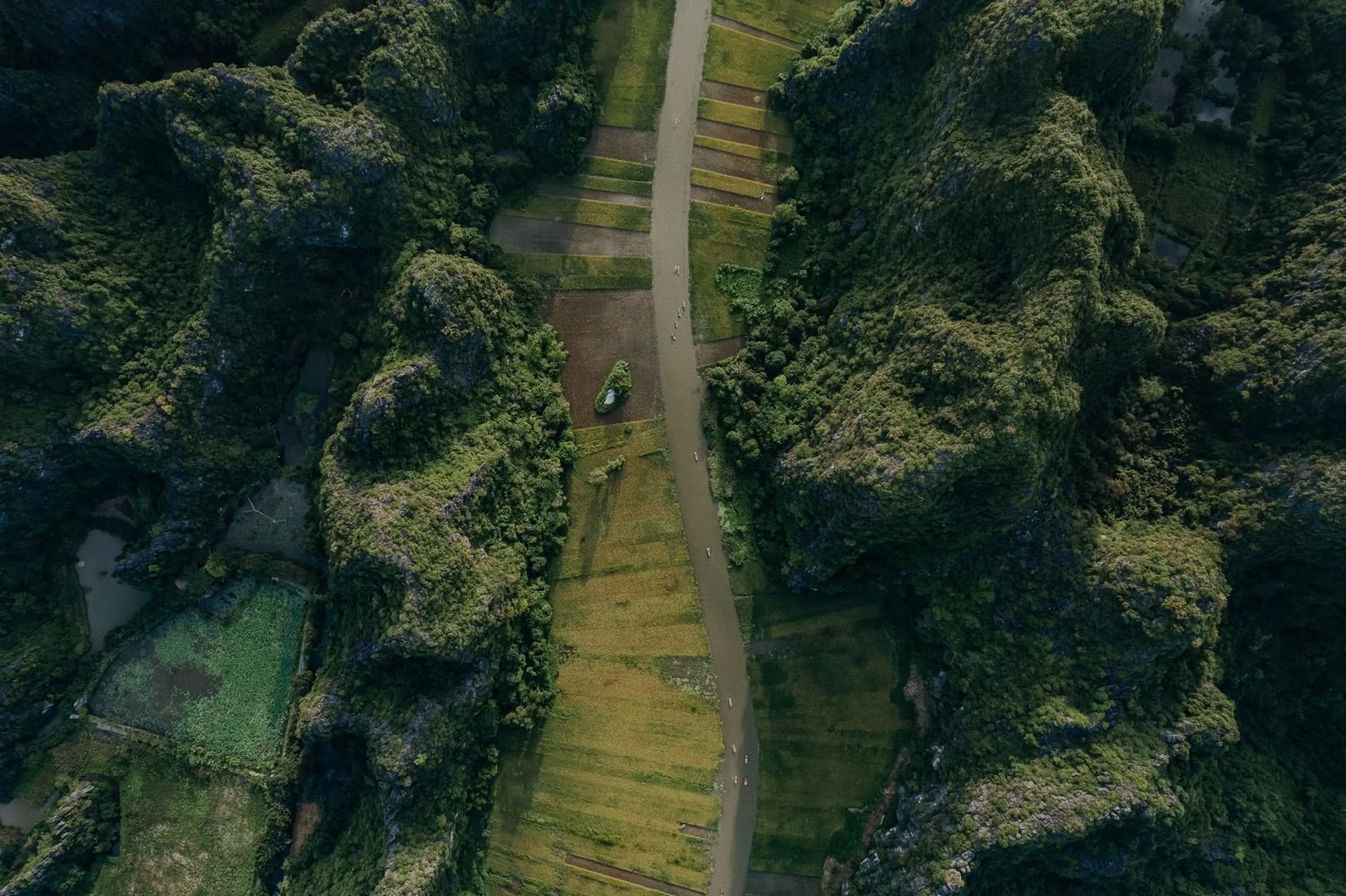 Natural landscape in Aravinda Resort Ninh Binh