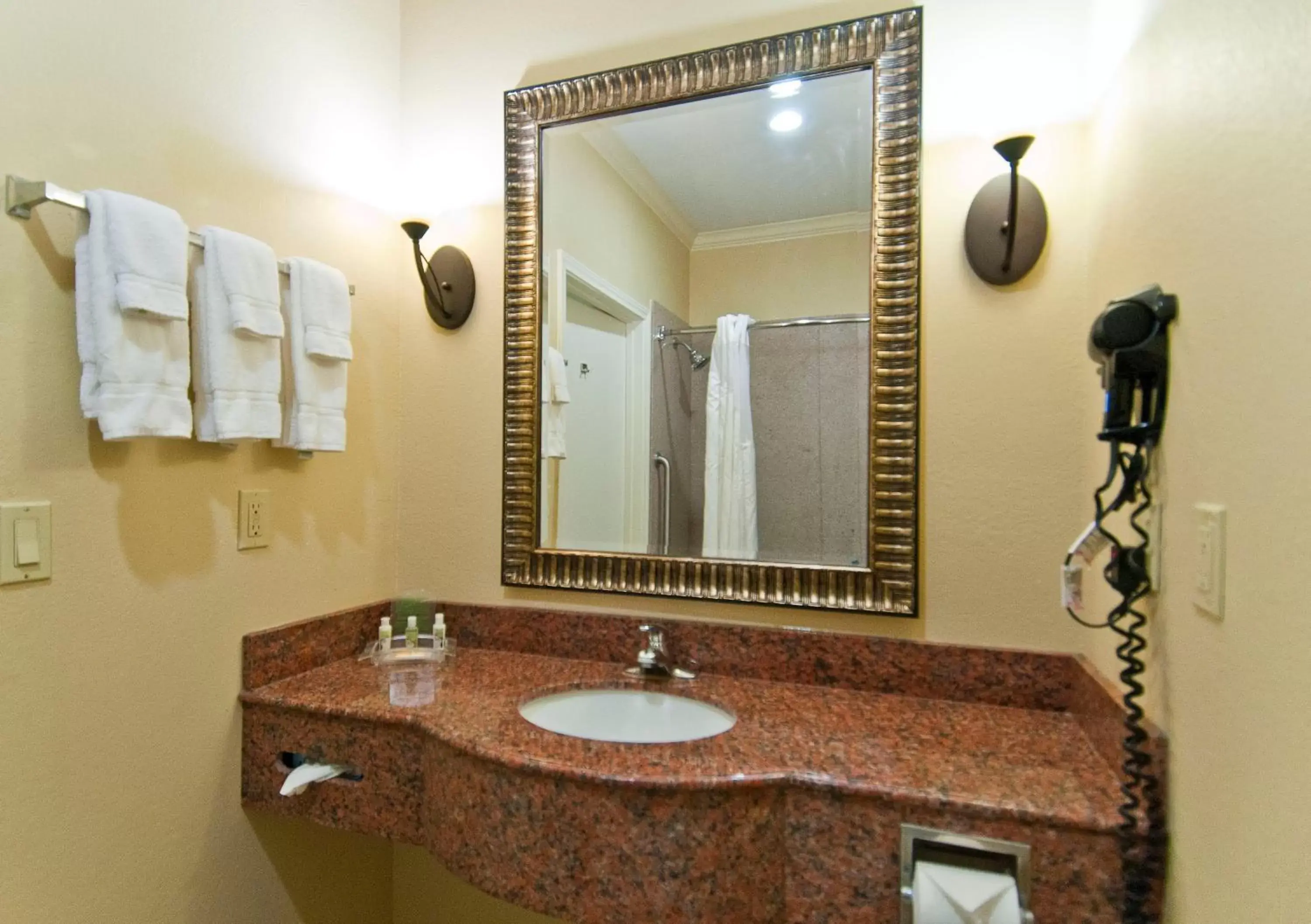 Photo of the whole room, Bathroom in Holiday Inn Hotel & Suites Lake Charles South, an IHG Hotel