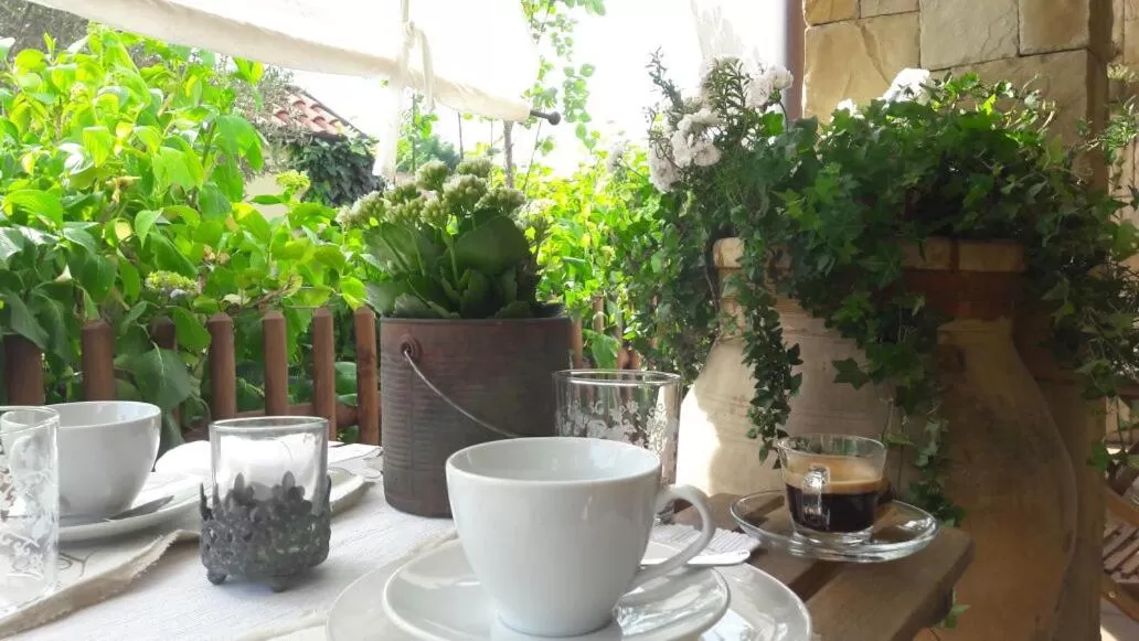 Garden in B&b Silvana