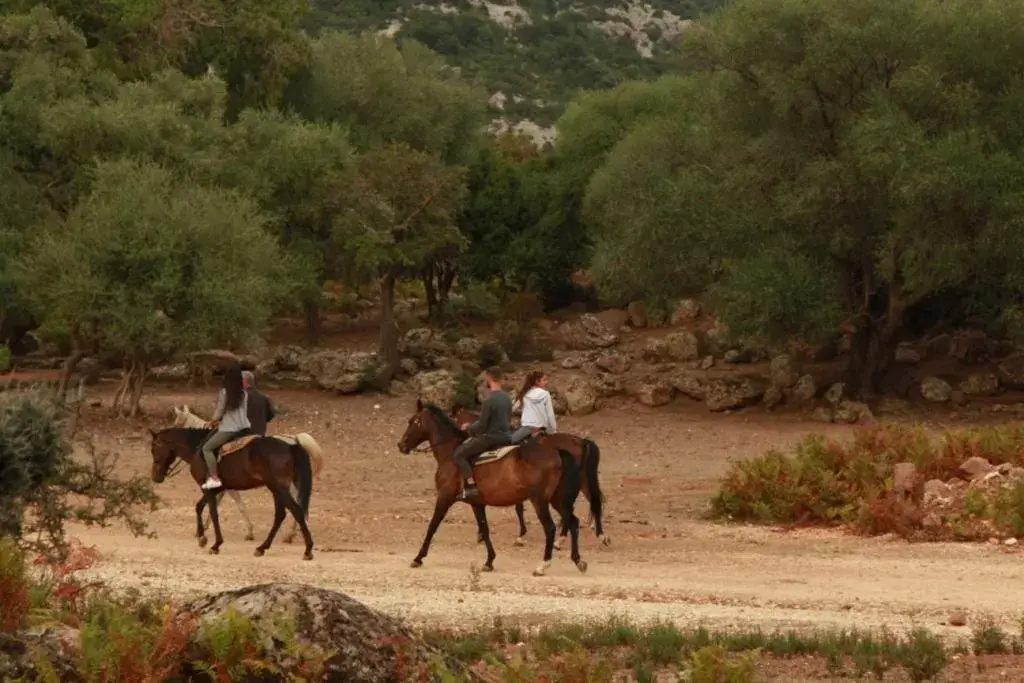 Horseback Riding in B&B Selvaggio Blu