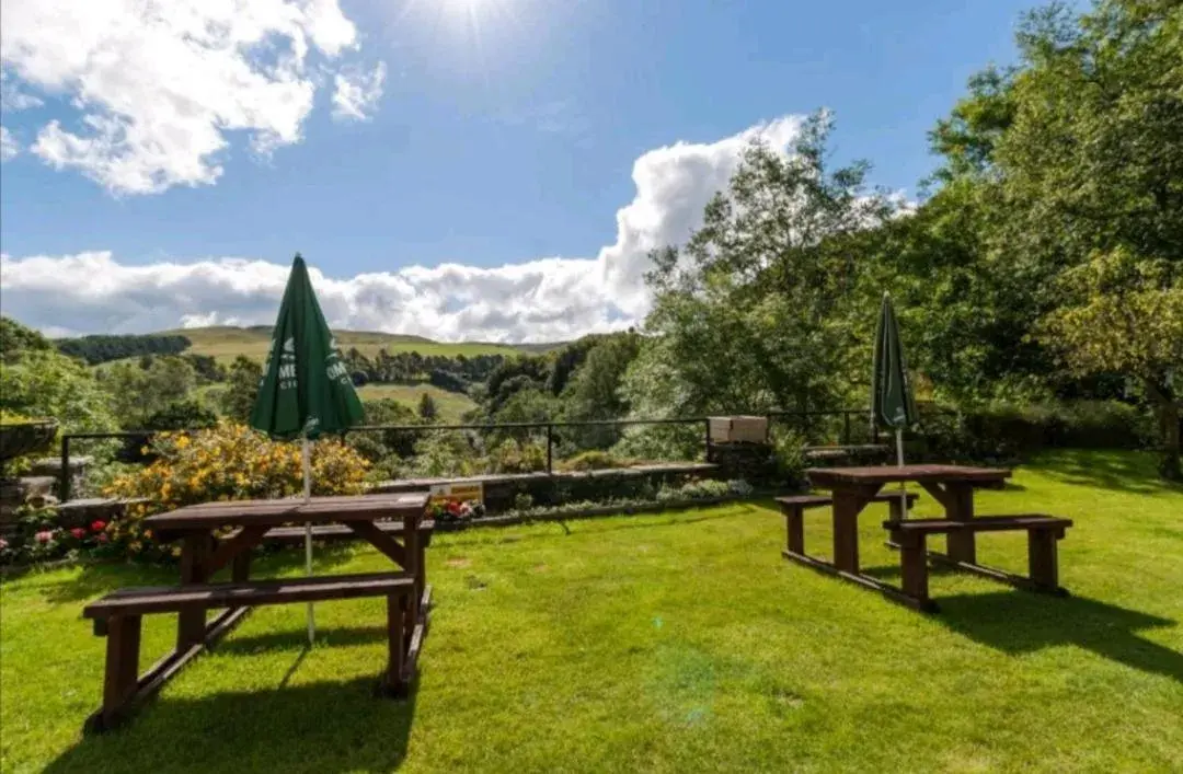 Garden in The George Borrow Hotel