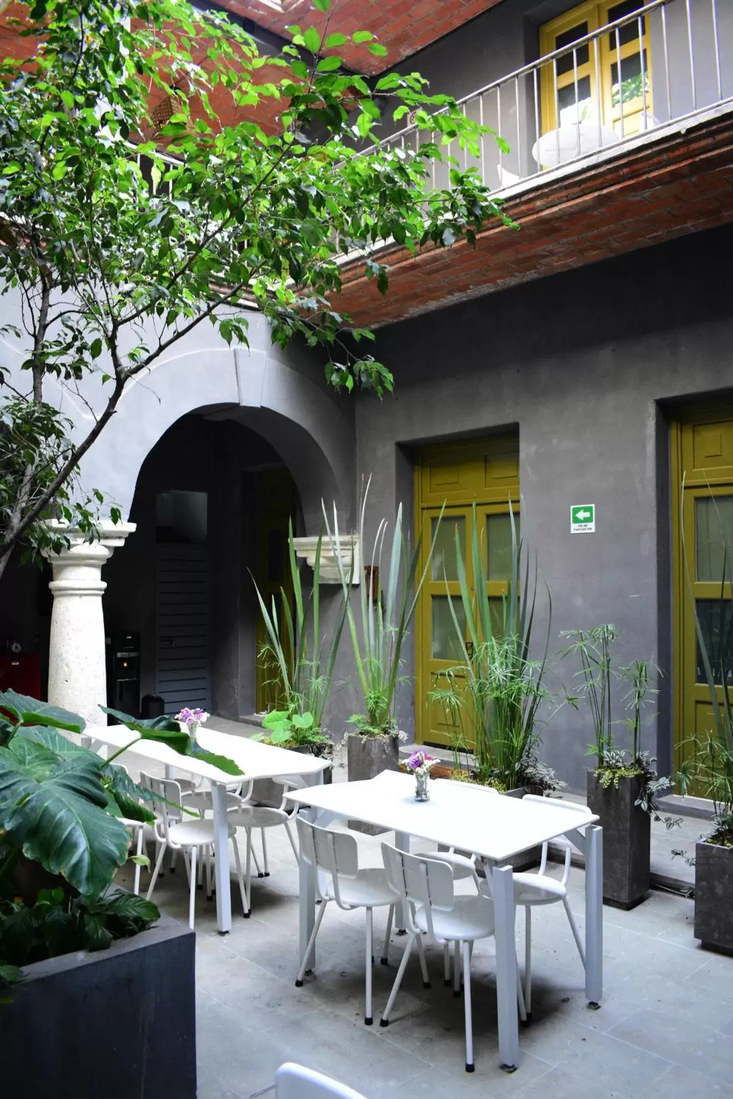Patio, Restaurant/Places to Eat in Pug Seal Oaxaca