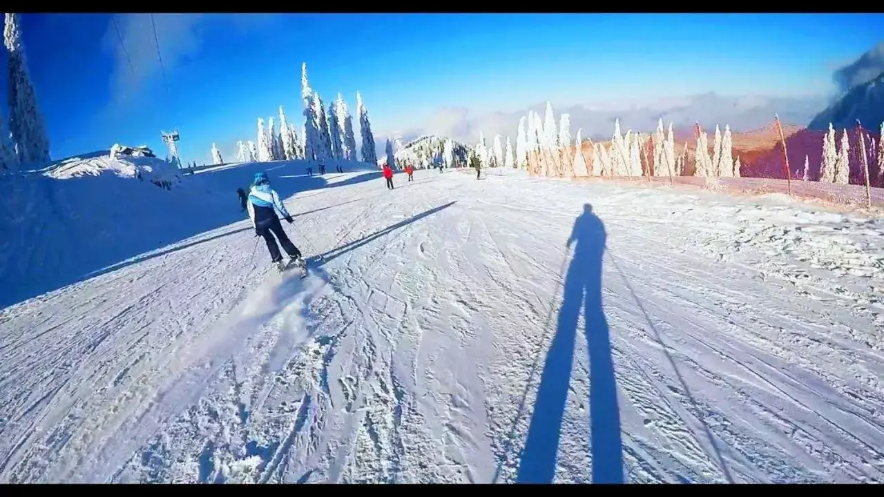 Natural landscape, Skiing in Alpin ApartHotel 2302