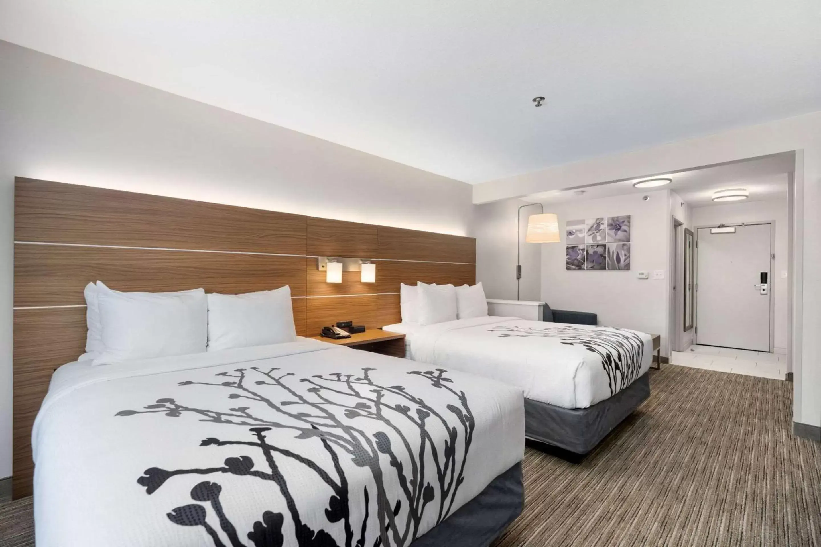 Bedroom, Bed in Sleep Inn & Suites Tempe ASU Campus