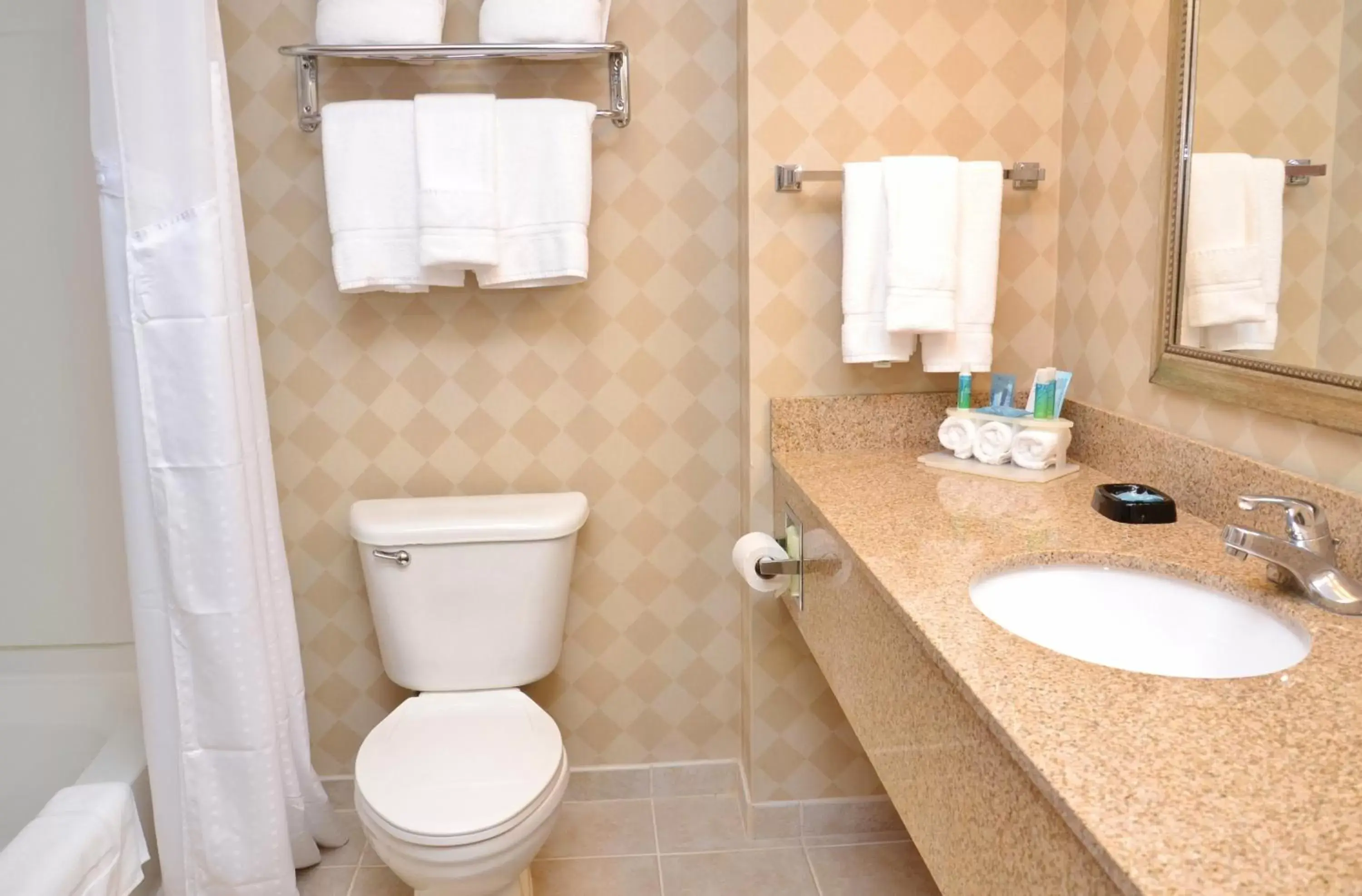 Bathroom in Holiday Inn Express Hotel & Suites Center Township, an IHG Hotel