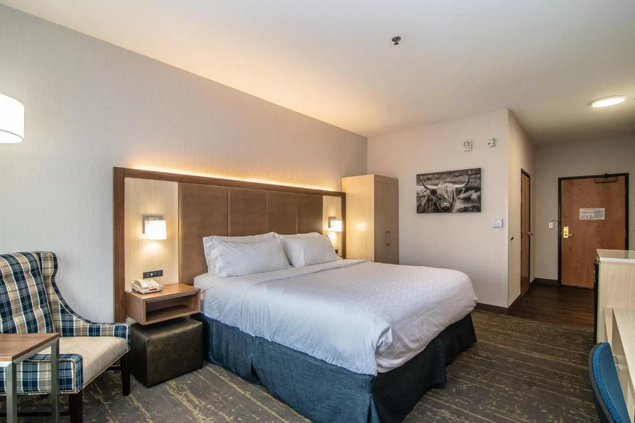 Photo of the whole room, Bed in Holiday Inn Express Hotel & Suites Kalispell, an IHG Hotel
