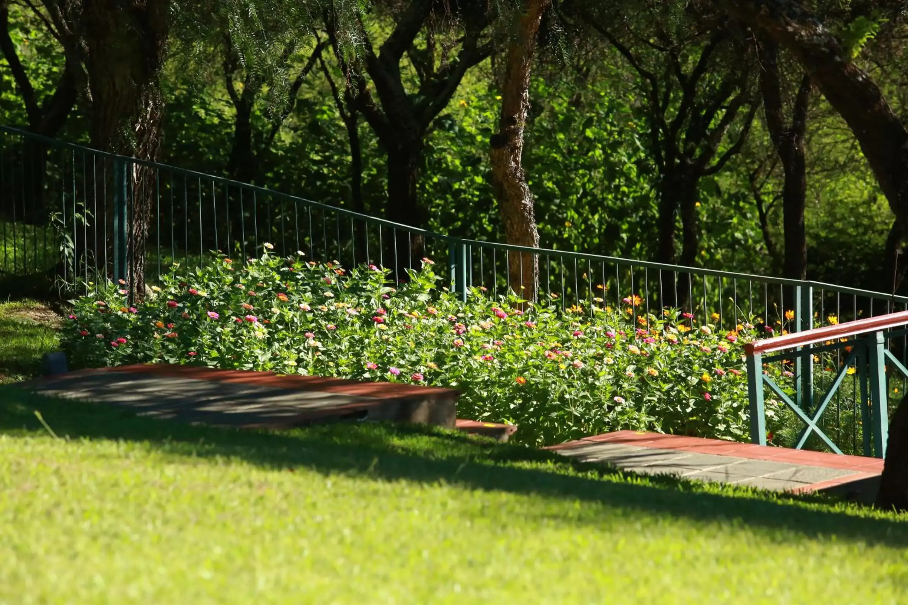 Garden view, Garden in Hotel Los Parrales