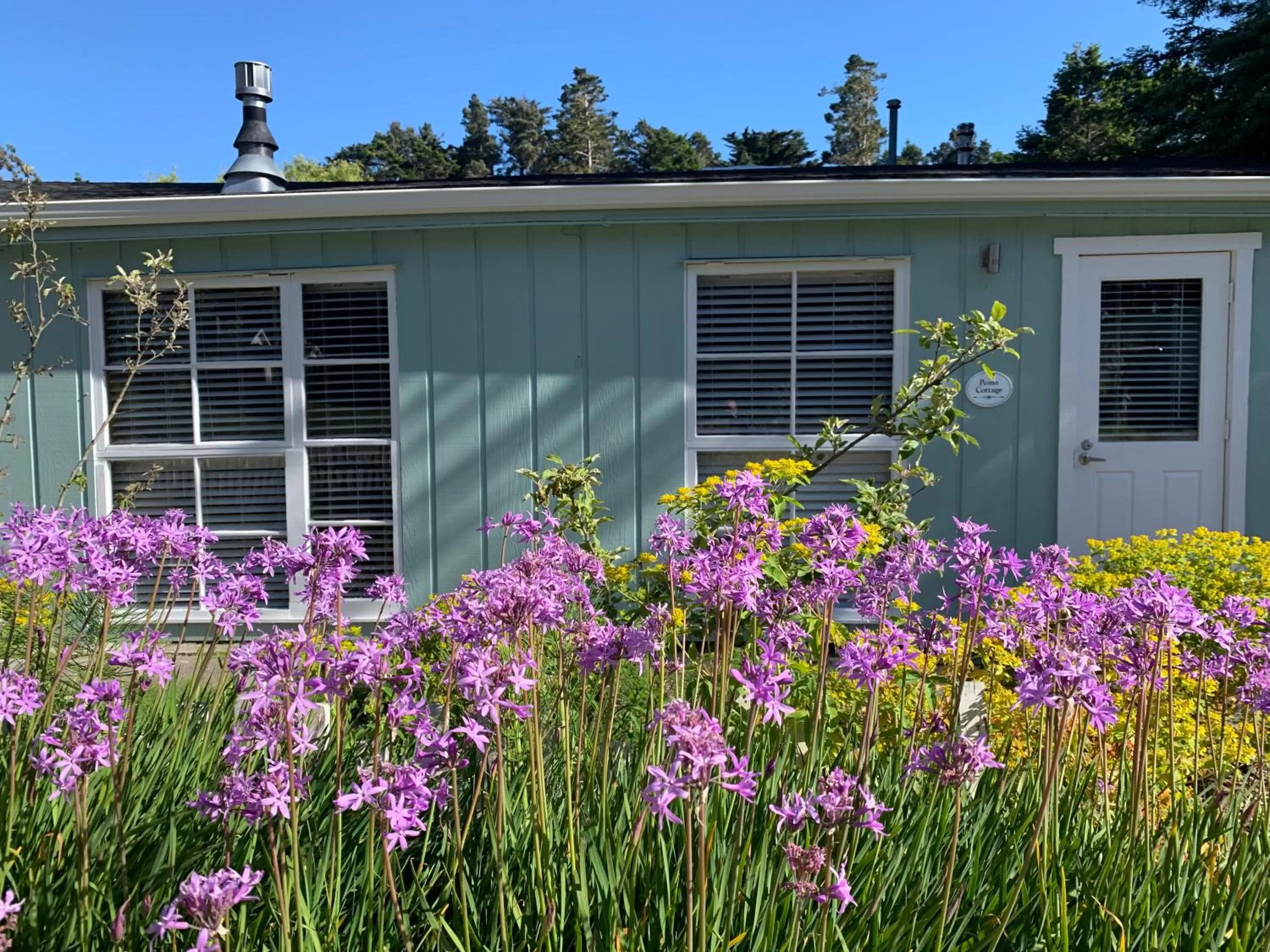 Garden view in Inn at Schoolhouse Creek