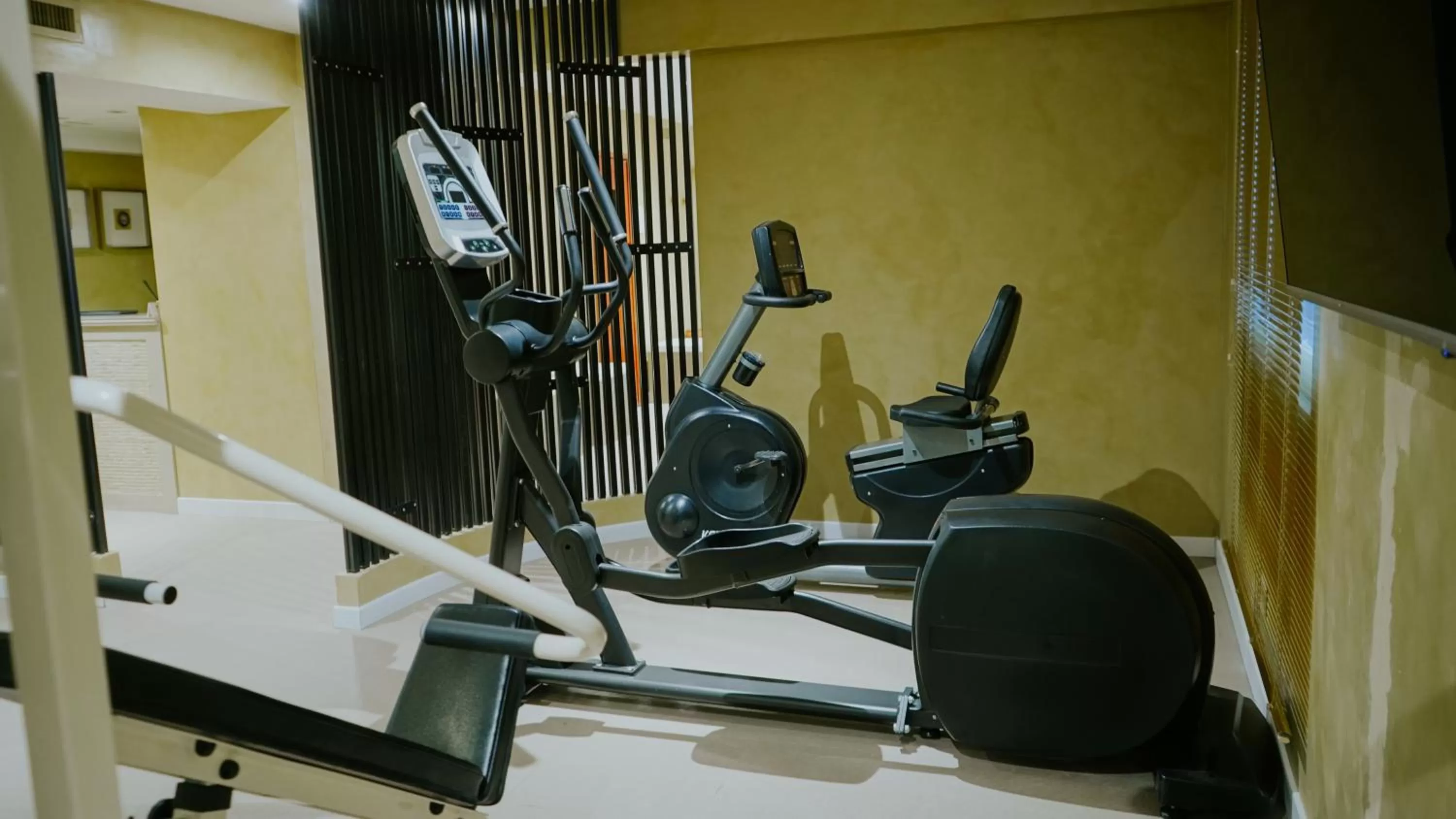Fitness centre/facilities in Hotel Albatros