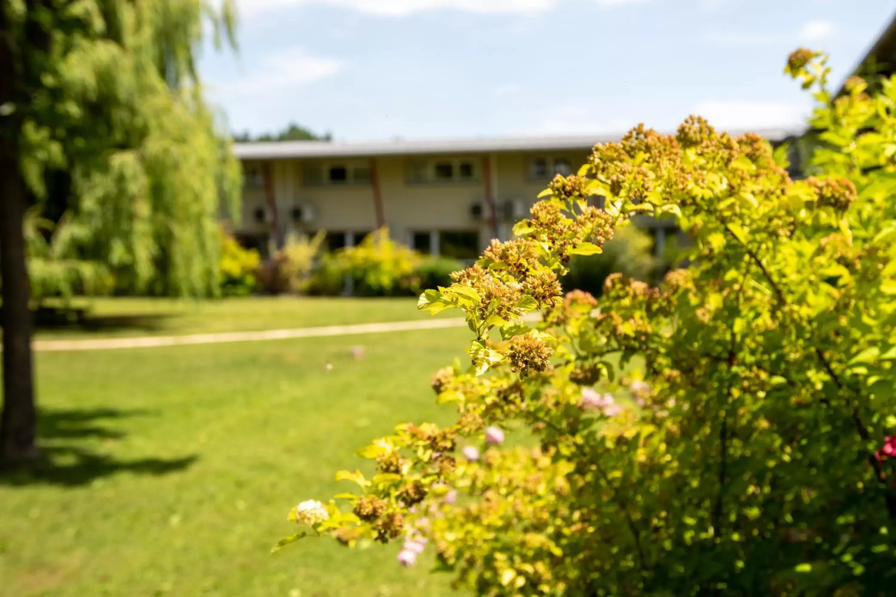 Garden, Property Building in The Originals Boutique, Hôtel Le Cap, Gap Sud