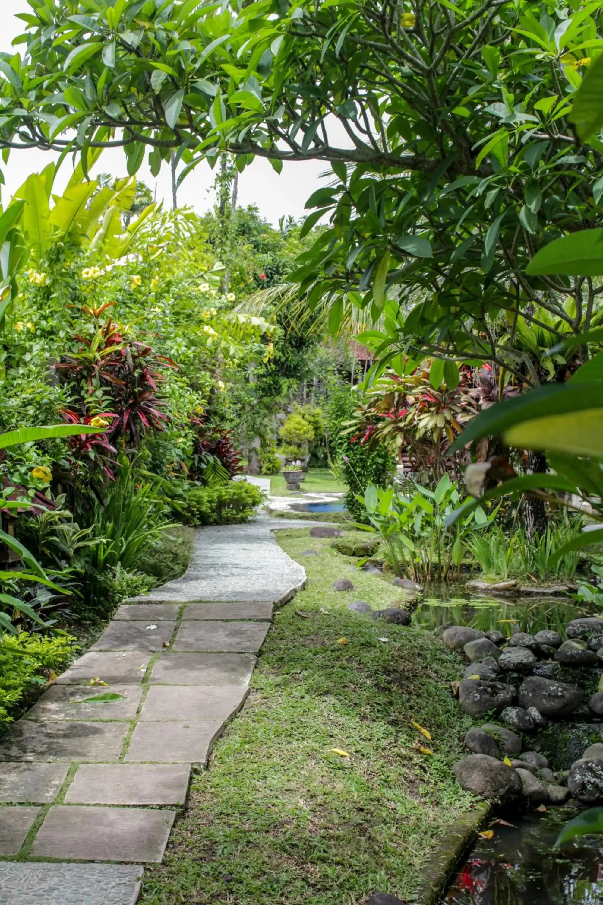 Natural landscape, Garden in Villa Chempaka Hotel