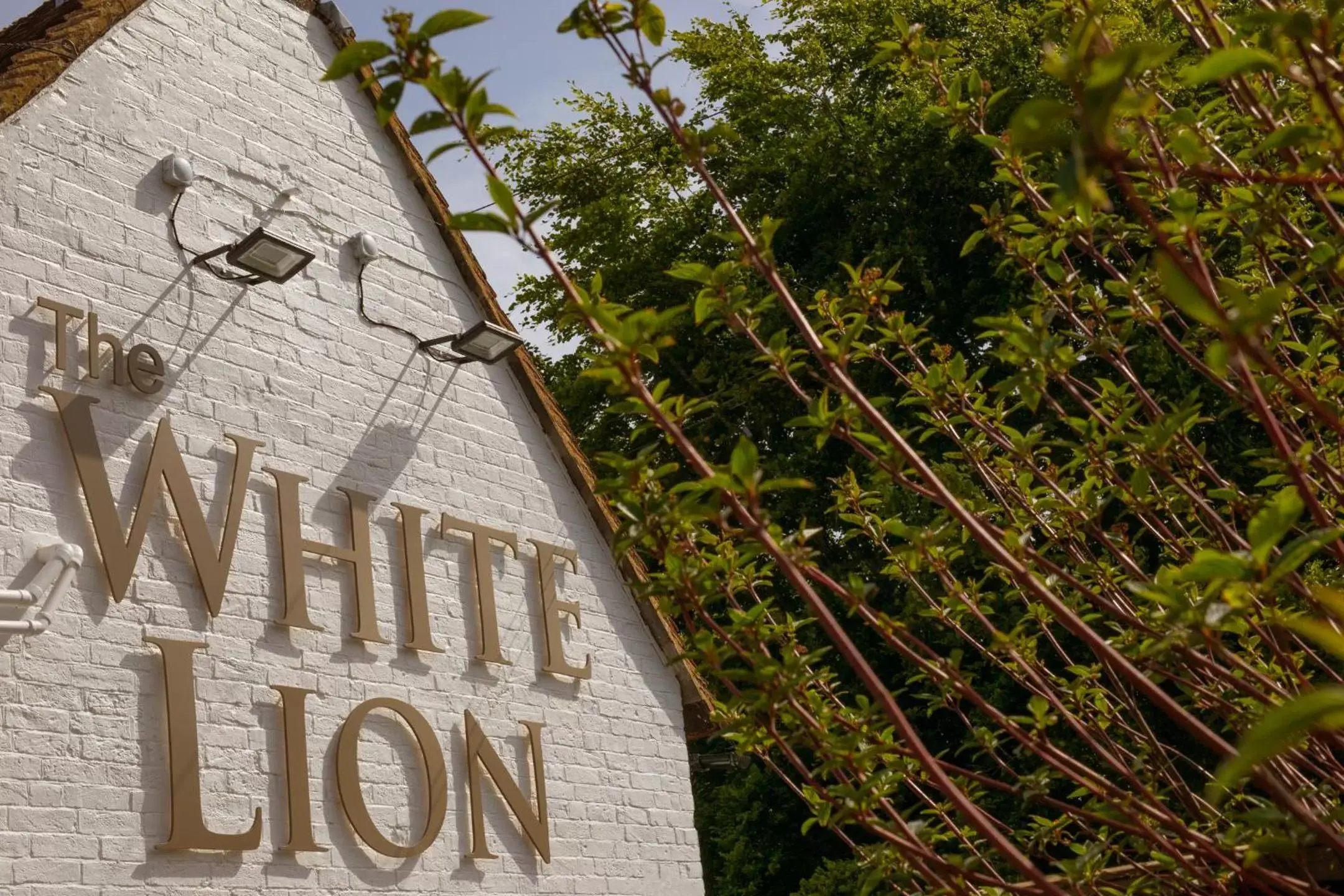 The White Lion, Soberton