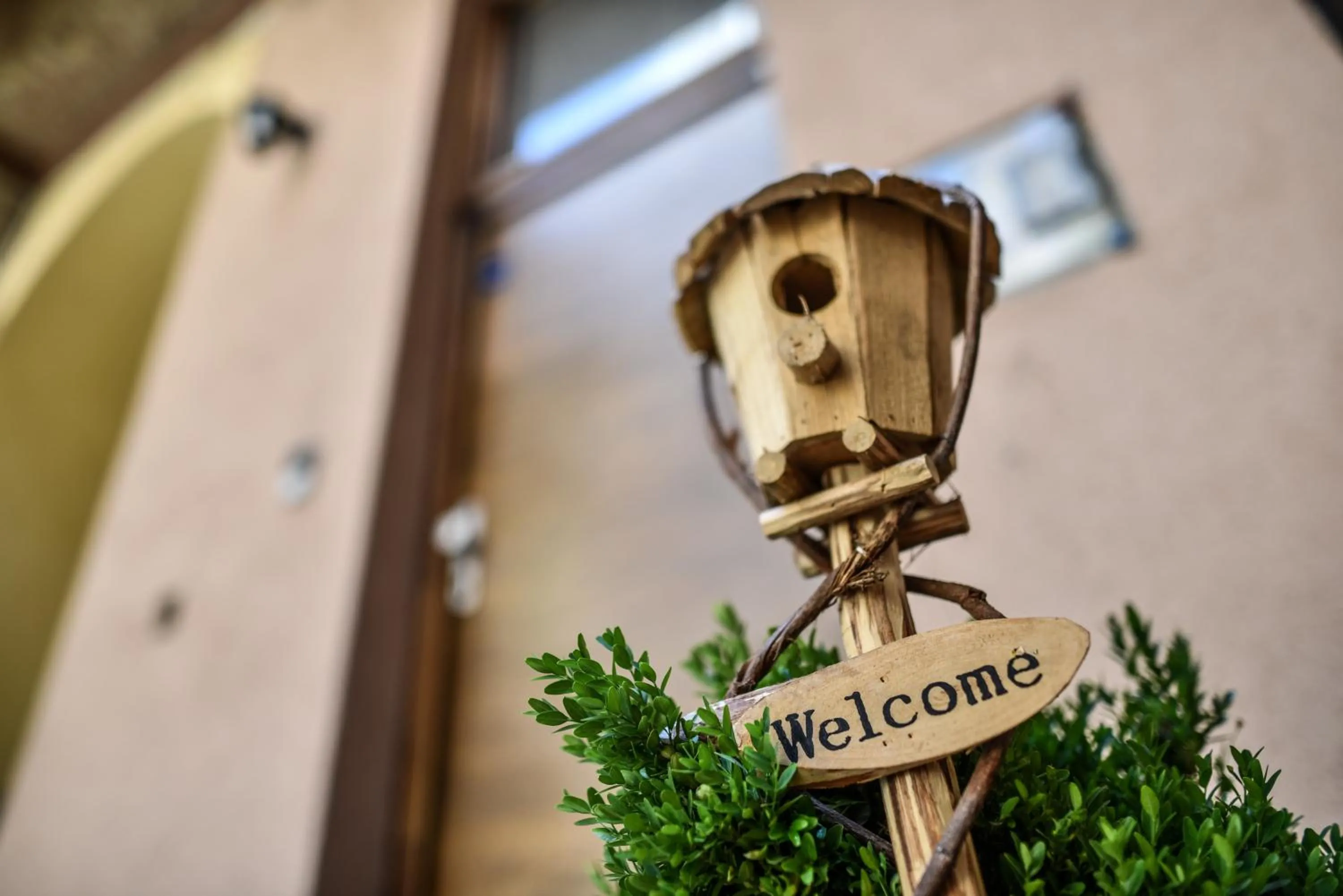 Patio in Corvin Point Rooms and Apartments