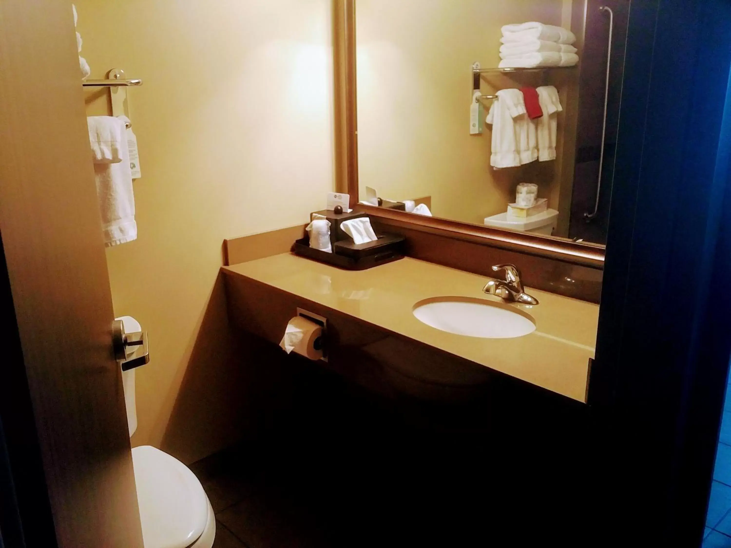 Toilet, Bathroom in Best Western Plus Winnipeg West