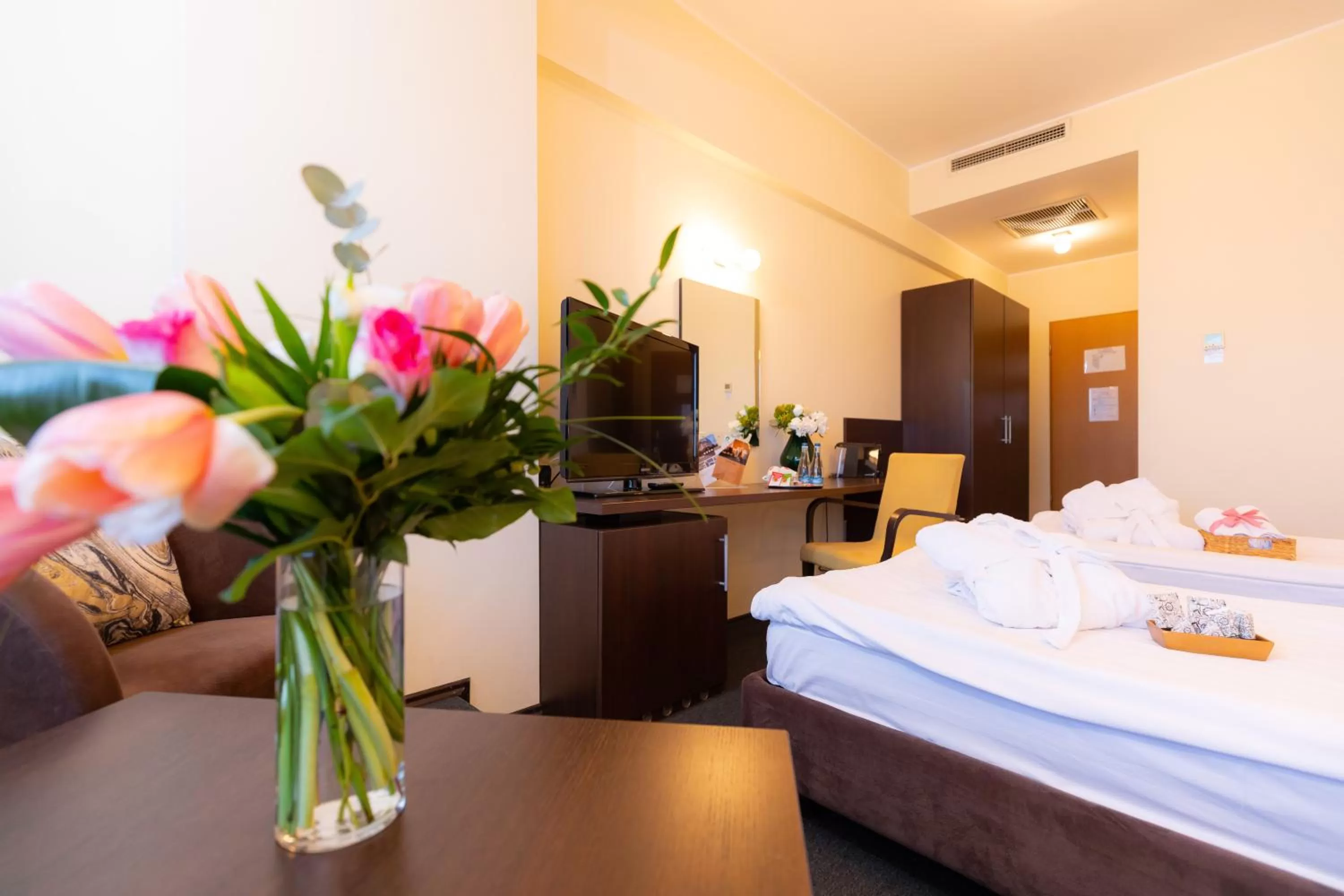 View (from property/room) in Hotel Terra Balneo