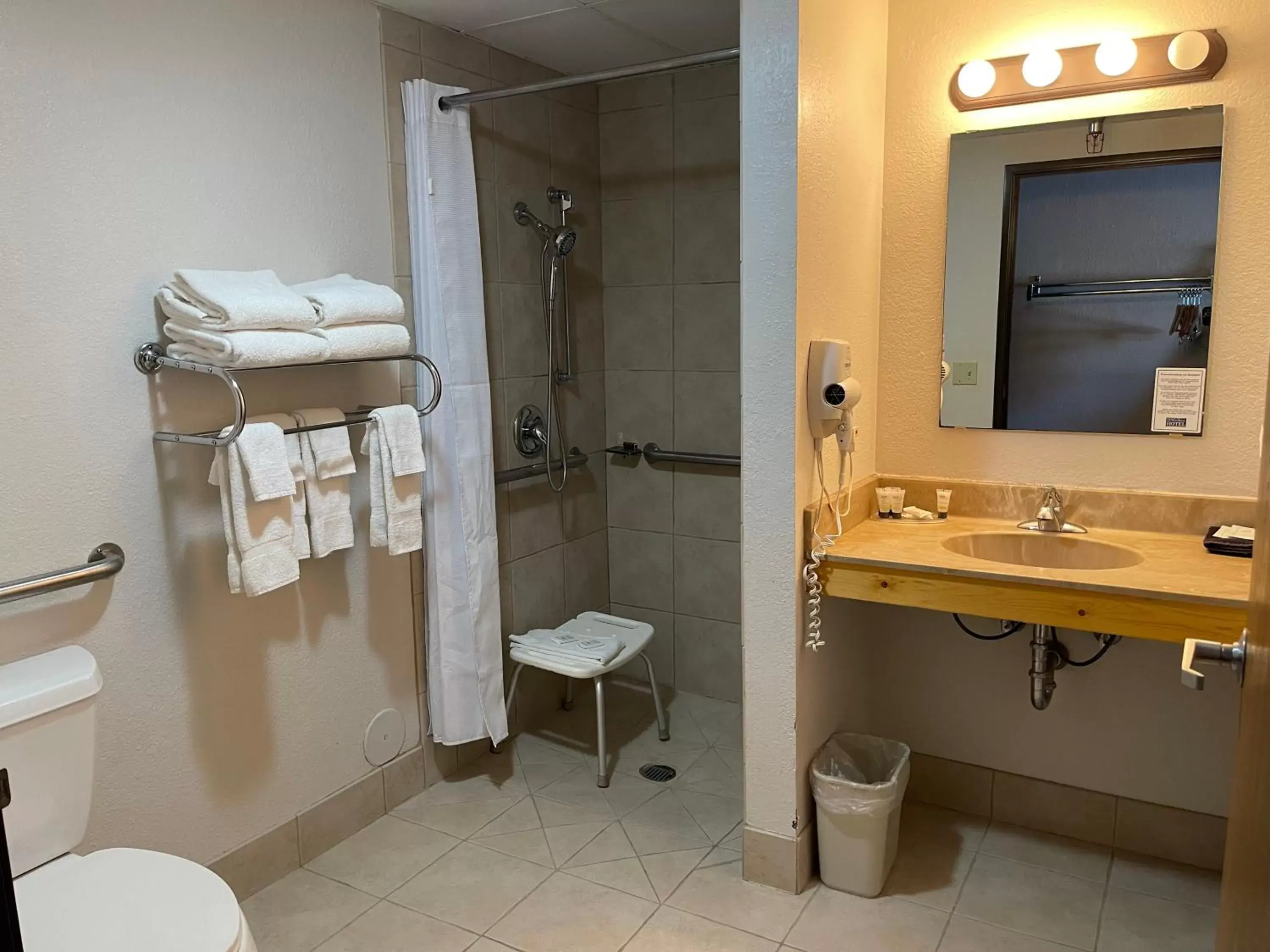 Shower, Bathroom in Walker Hotel