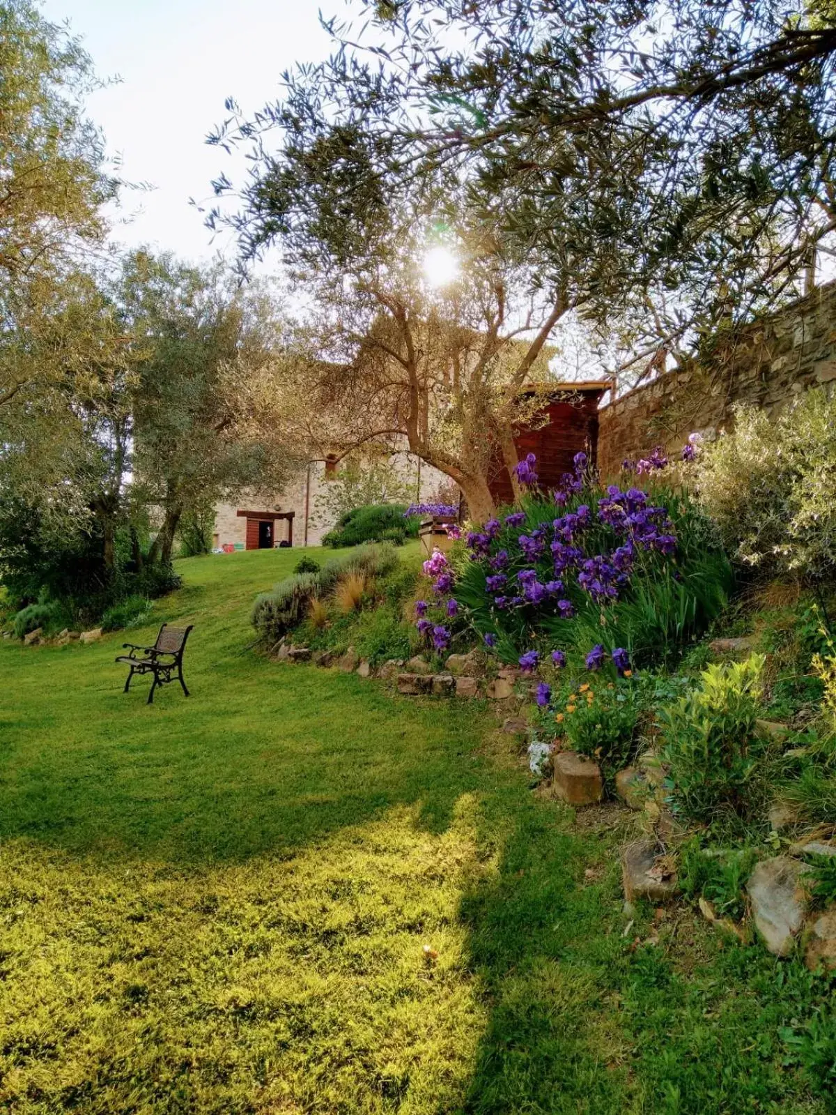 Garden in Borgo Castello Panicaglia