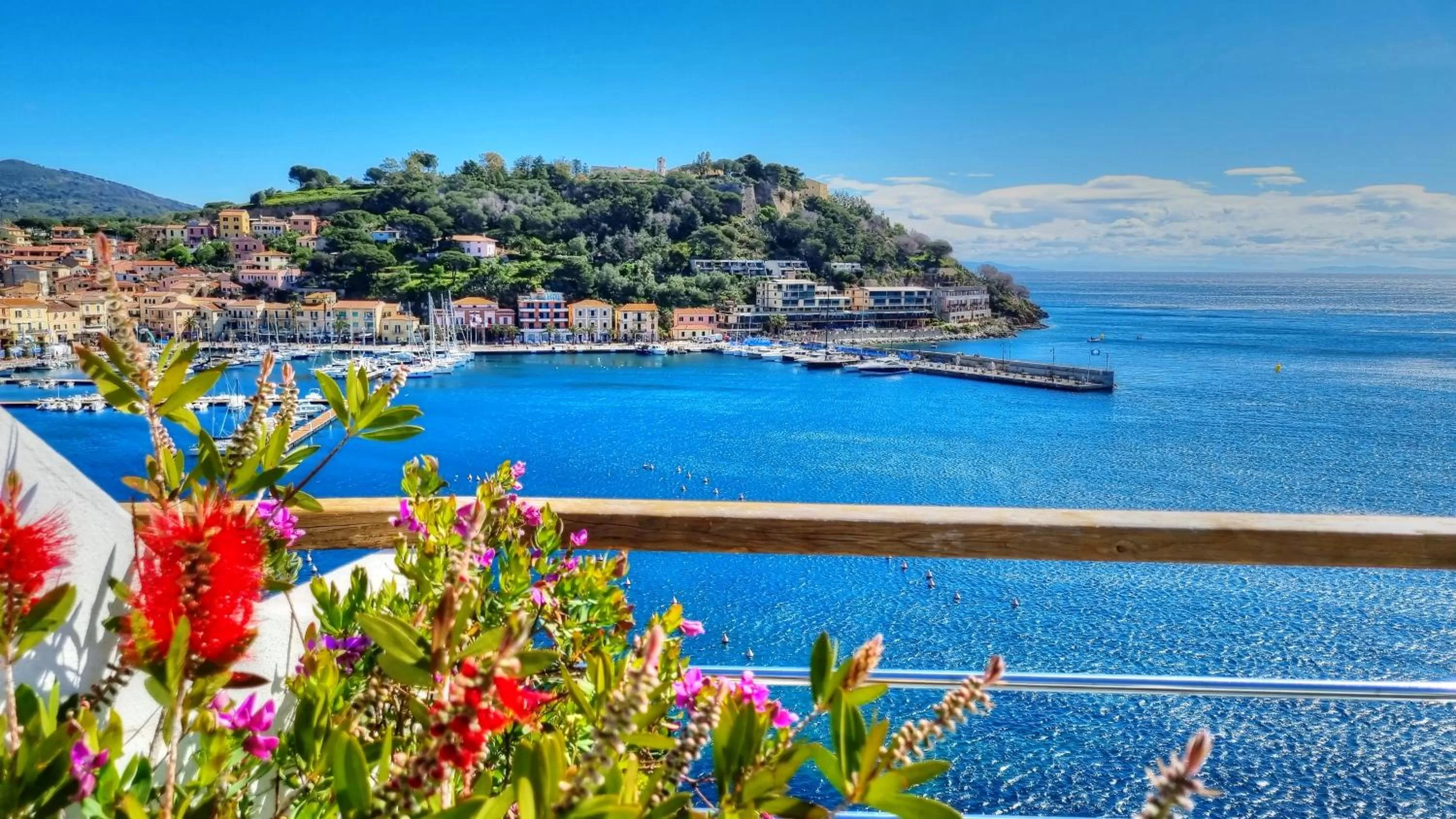 Restaurant/places to eat in Hotel Plaza