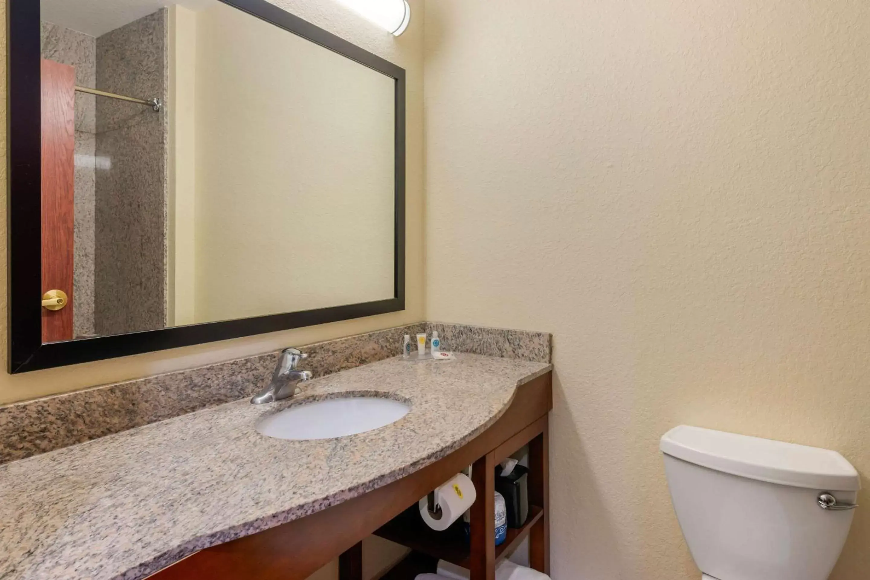 Photo of the whole room, Bathroom in Comfort Inn & Suites Northeast - Gateway