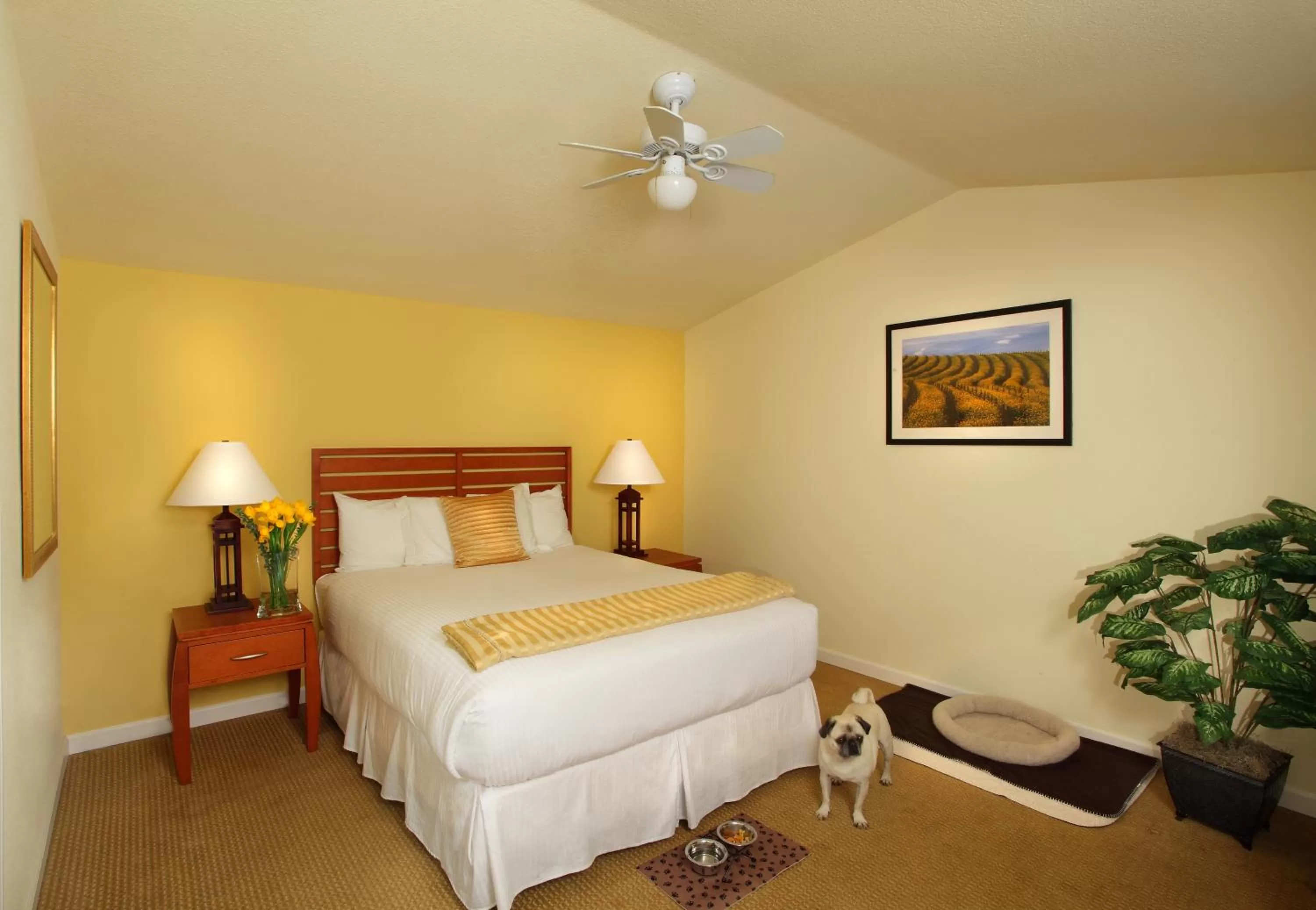 Photo of the whole room, Bed in West Sonoma Inn & Spa