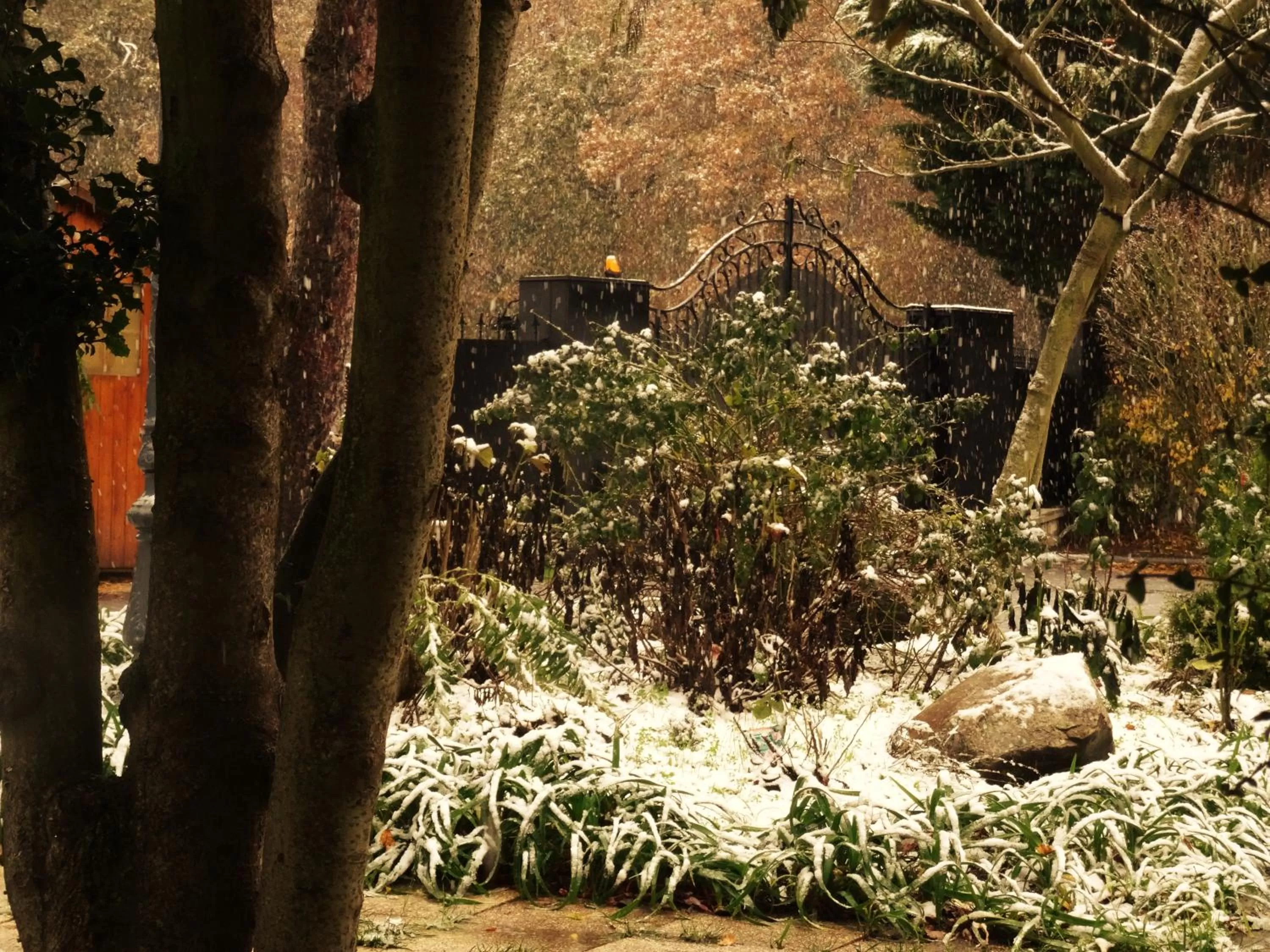 Garden in Villa La Clef Des Champs