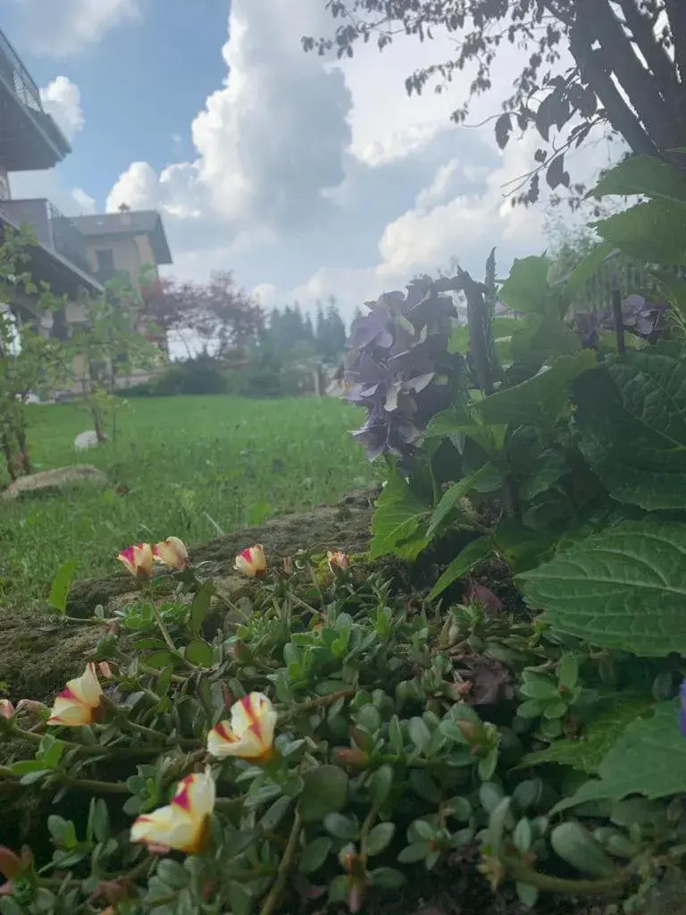 Garden in T'ami Hotel Resort Spa