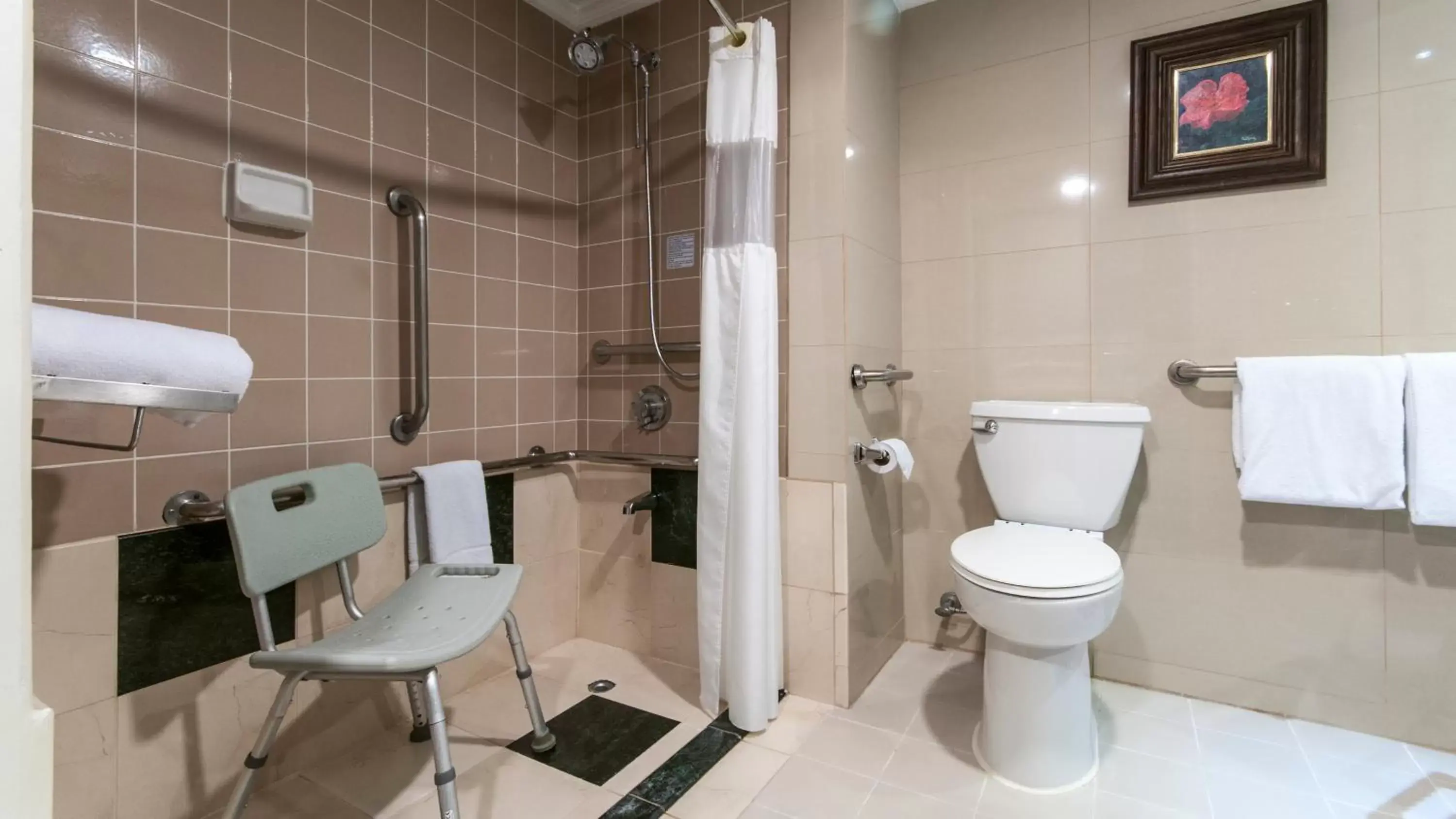 Shower, Bathroom in Holiday Inn San Jose Aurola, an IHG Hotel