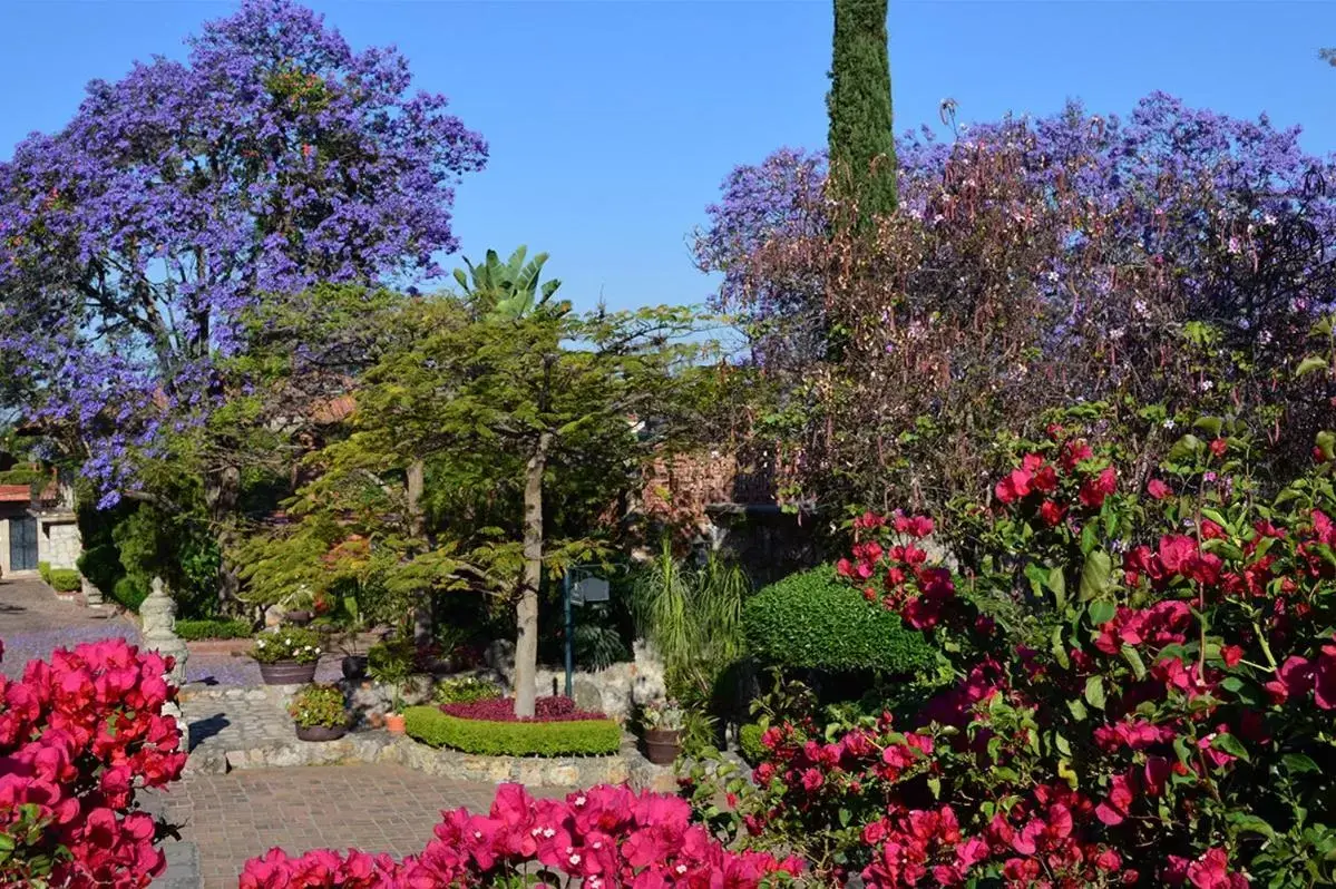 Off site, Garden in Villa Montaña Hotel & Spa