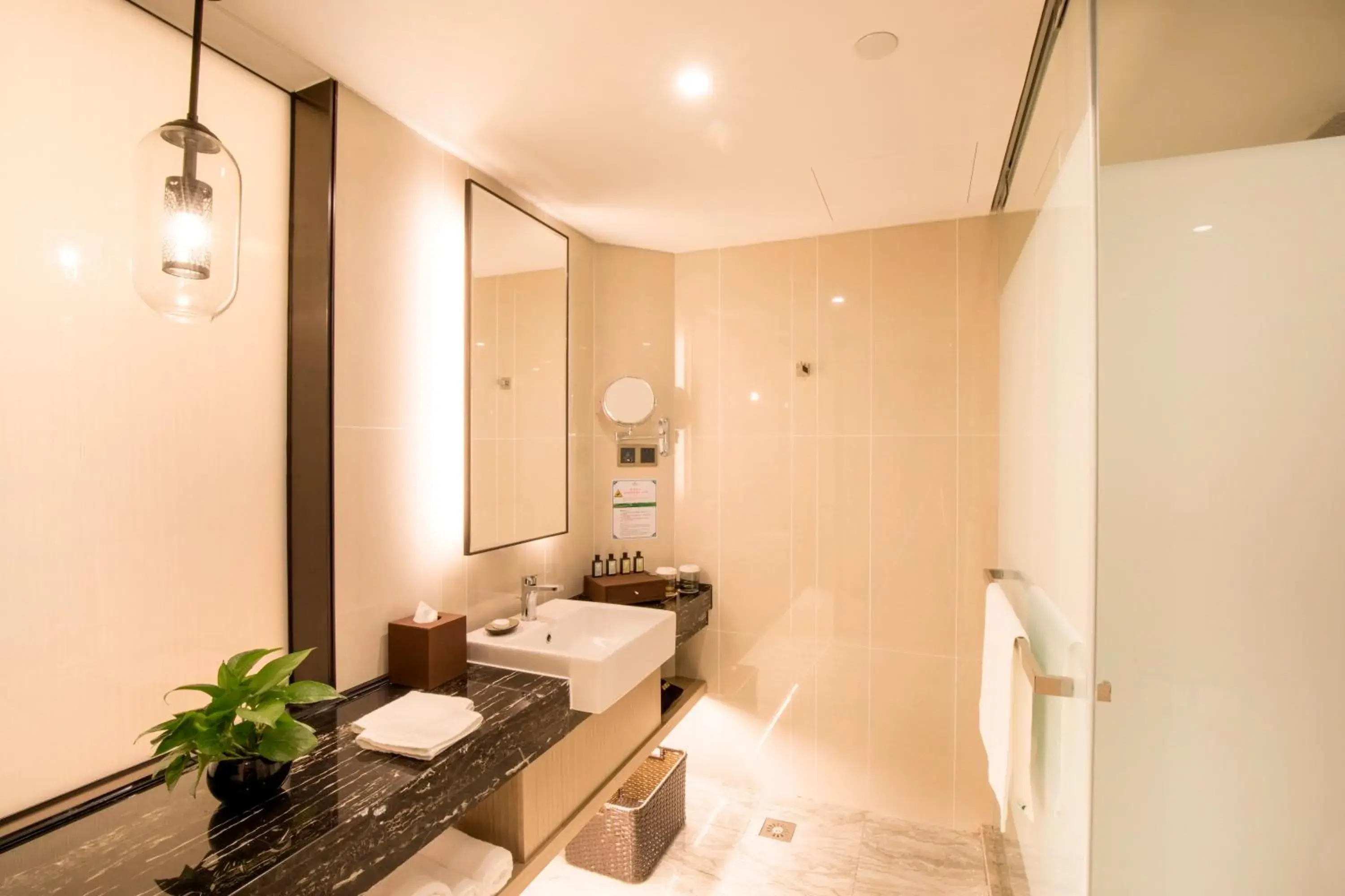 Shower, Bathroom in Jin Jiang Pine City Hotel