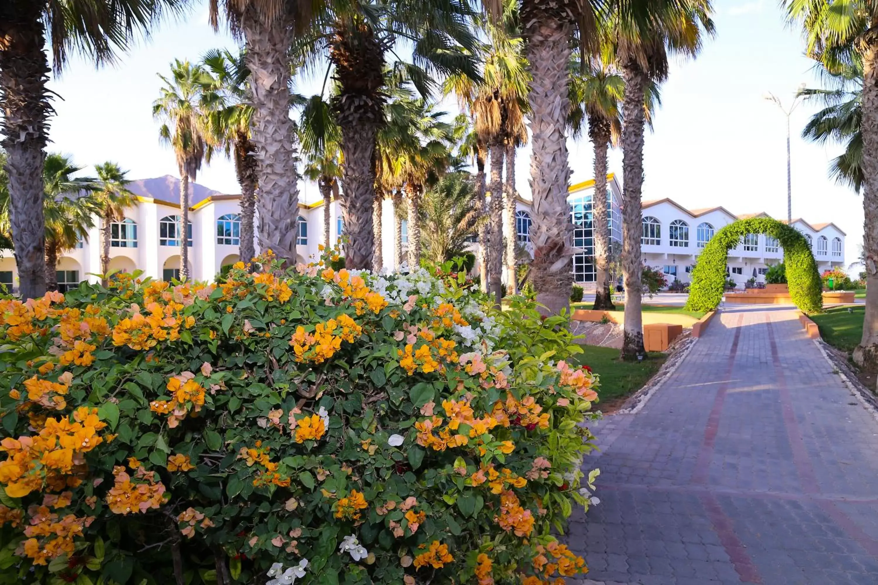 Property building in Sandy Beach Hotel & Resort Property building in Sandy Beach Hotel & Resort