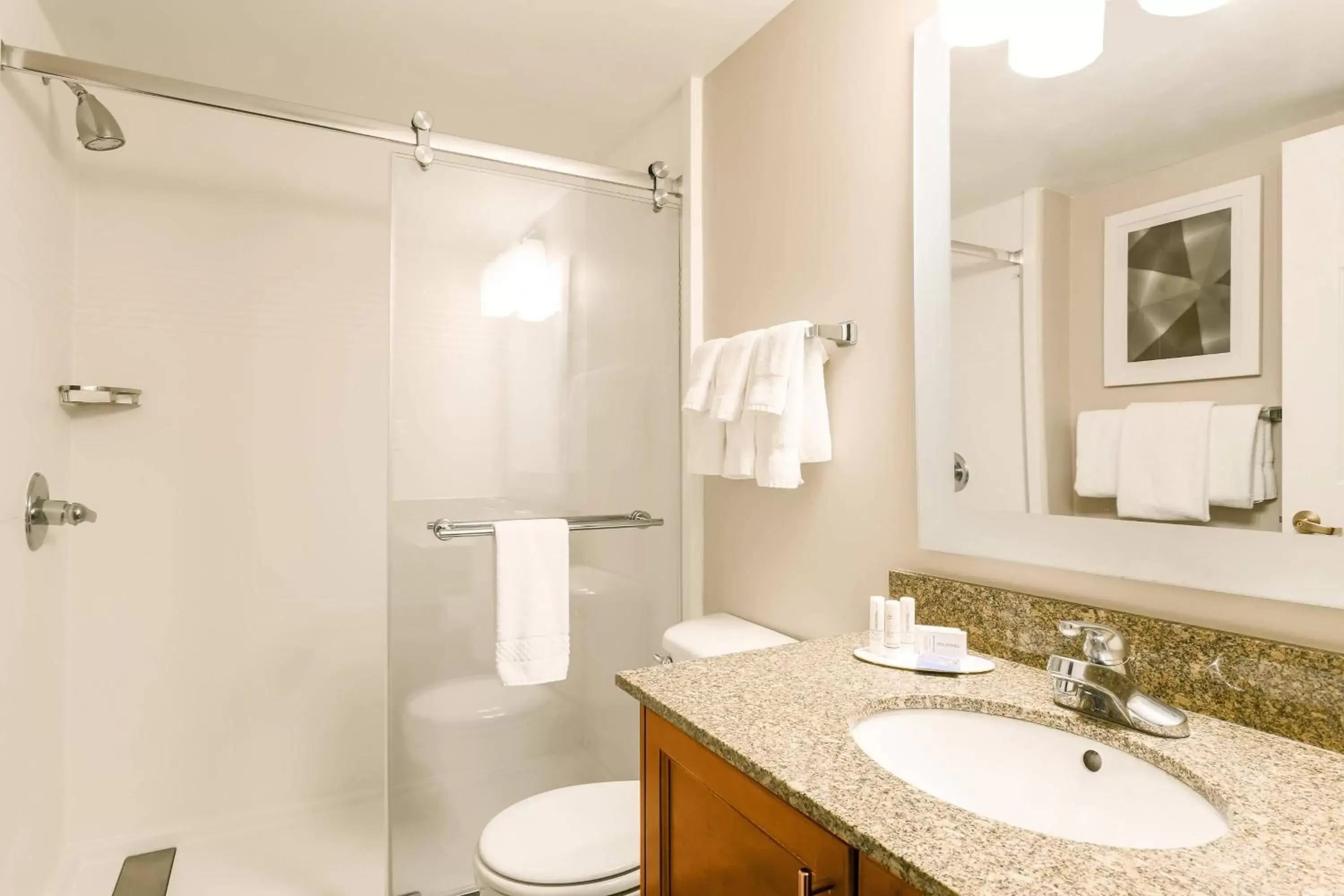 Photo of the whole room, Bathroom in TownePlace Suites Denver Southeast