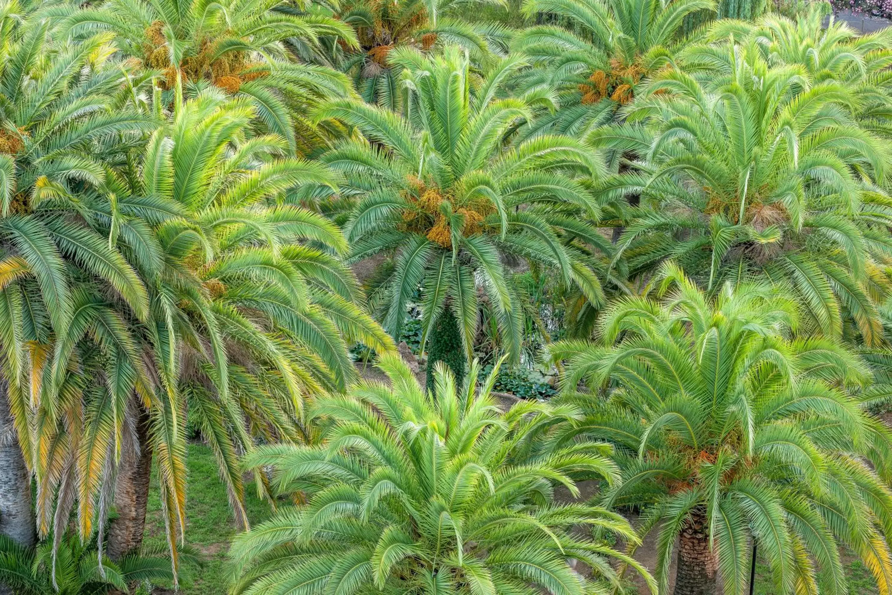 View (from property/room) in Hôtel Campo Dell'oro