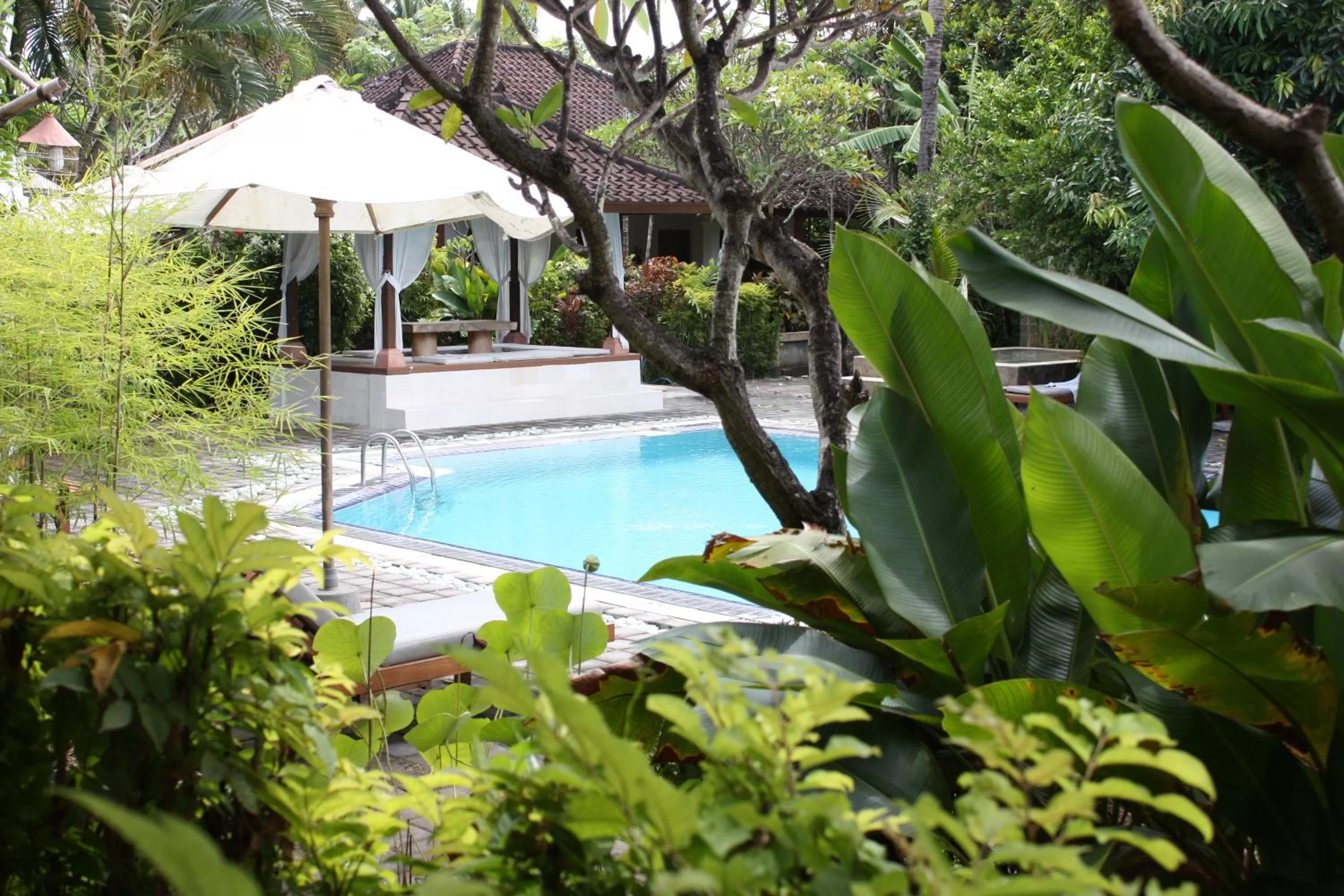 Swimming pool in Bumi Ayu Bungalow Sanur