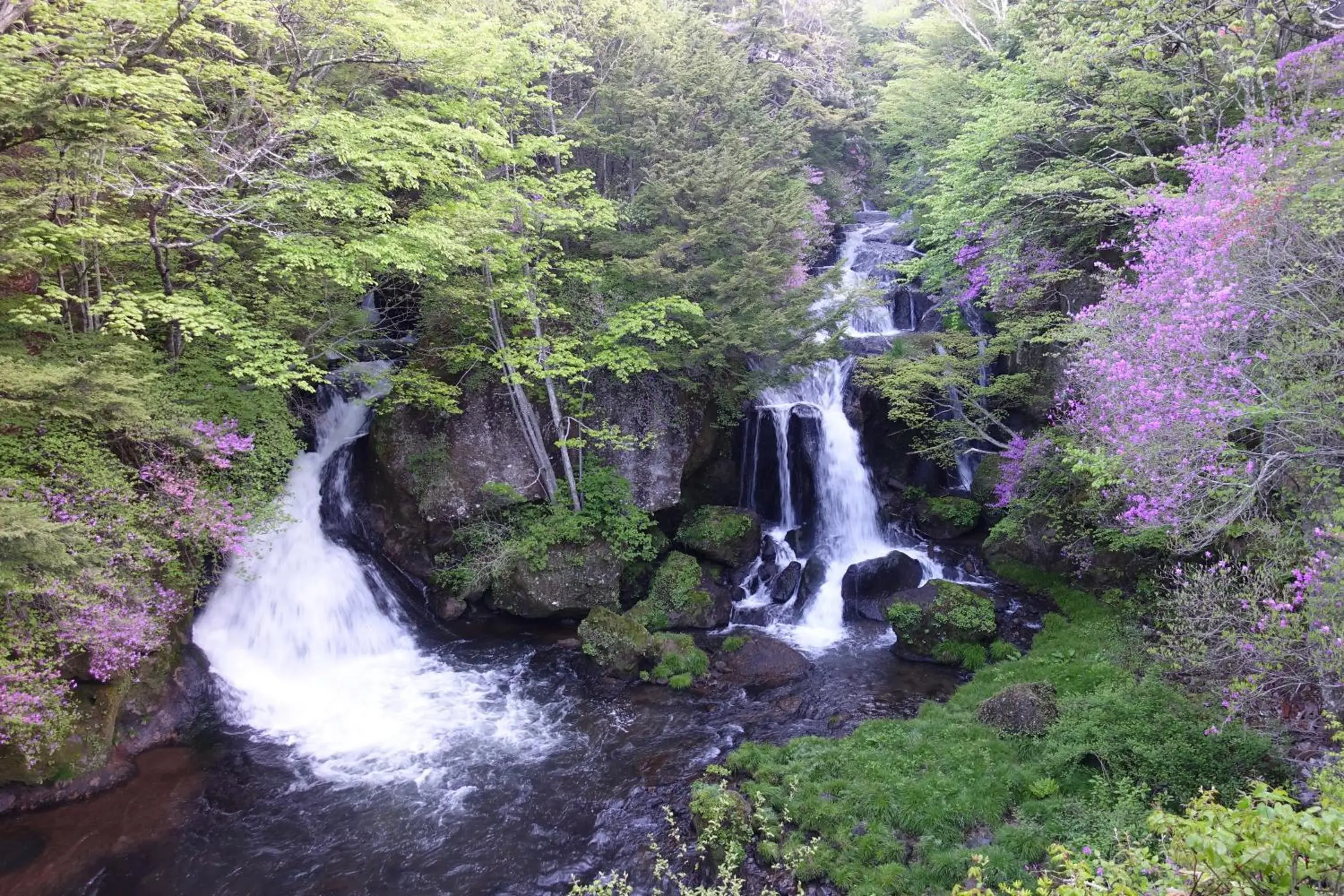 Nearby landmark, Natural Landscape in Hatago Nagomi Hot Spring Hotel