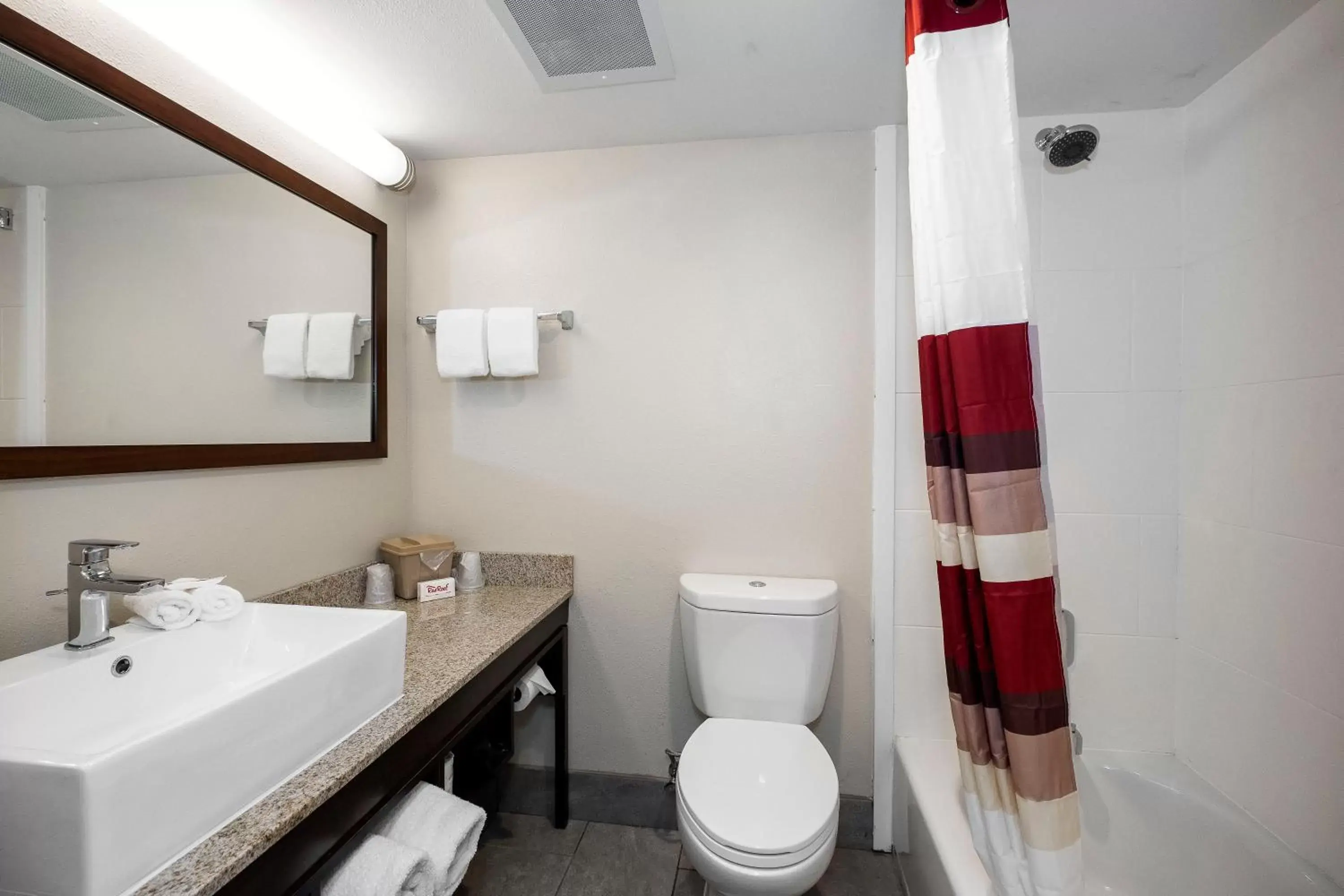Bathroom in Red Roof Inn PLUS+ Tuscaloosa - University