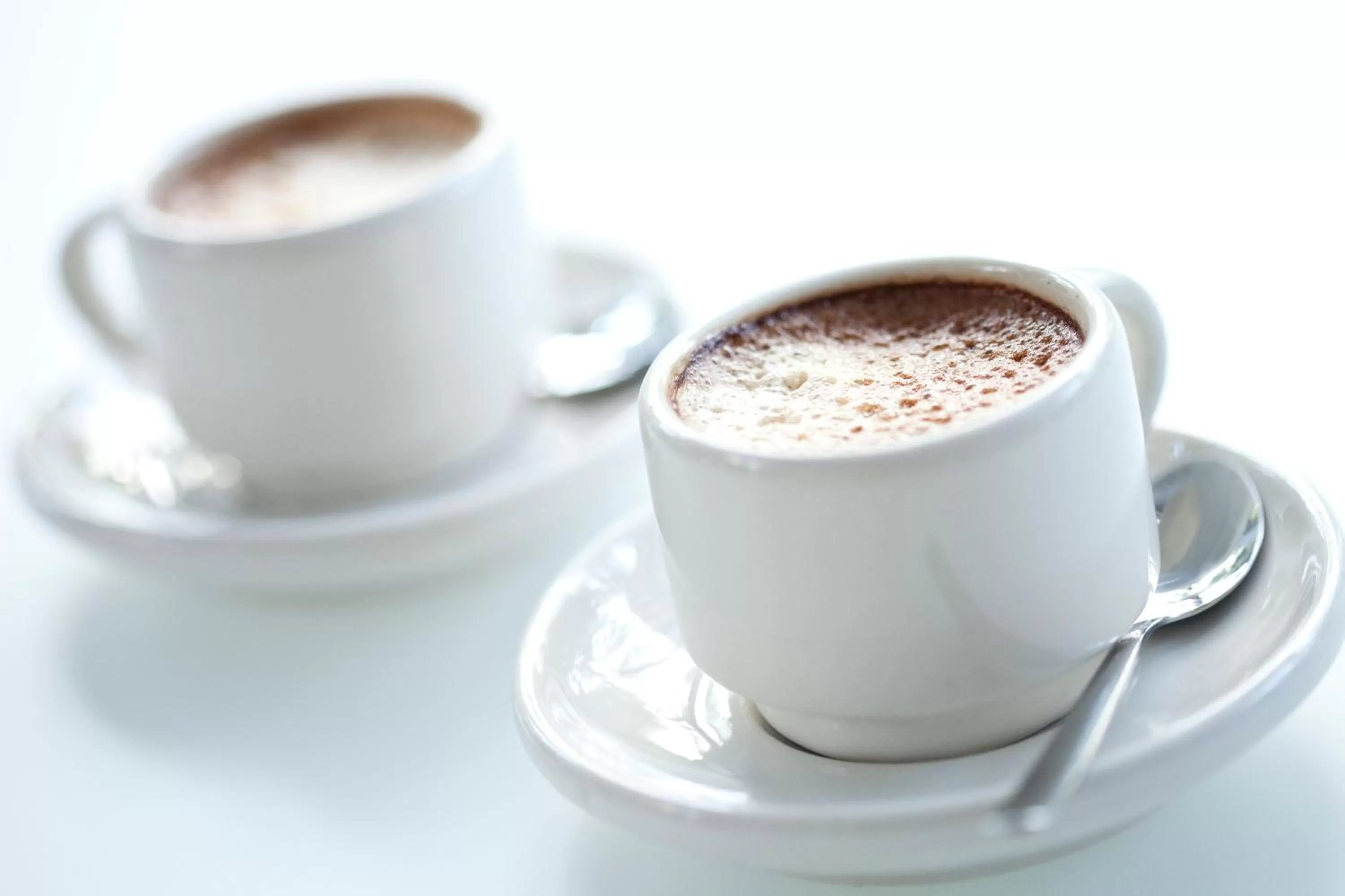 Breakfast, Drinks in Alexander's Gay Lesbian Guesthouse (Adult Only 21+)