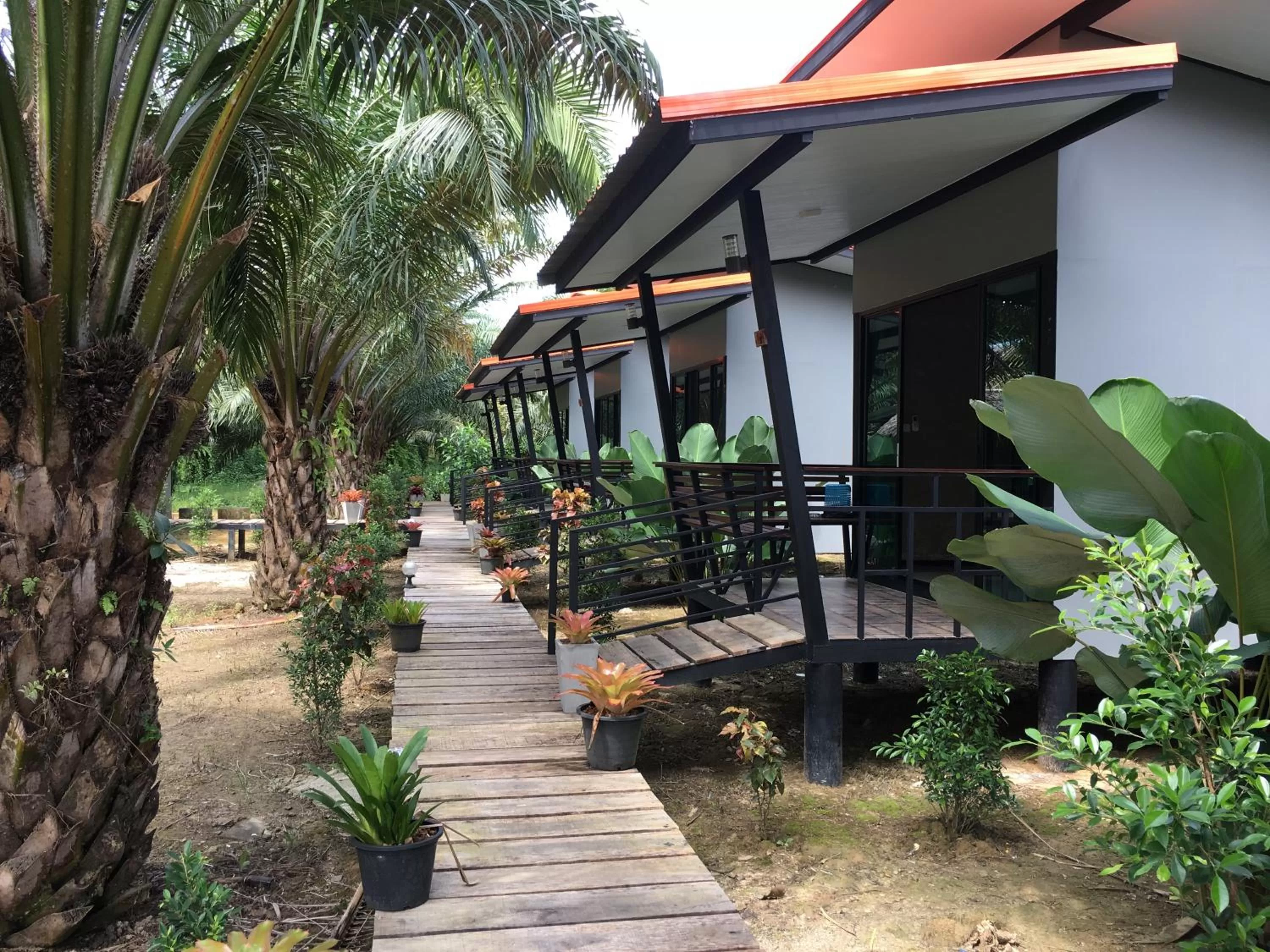 View (from property/room) in Khao Sok Residence Resort