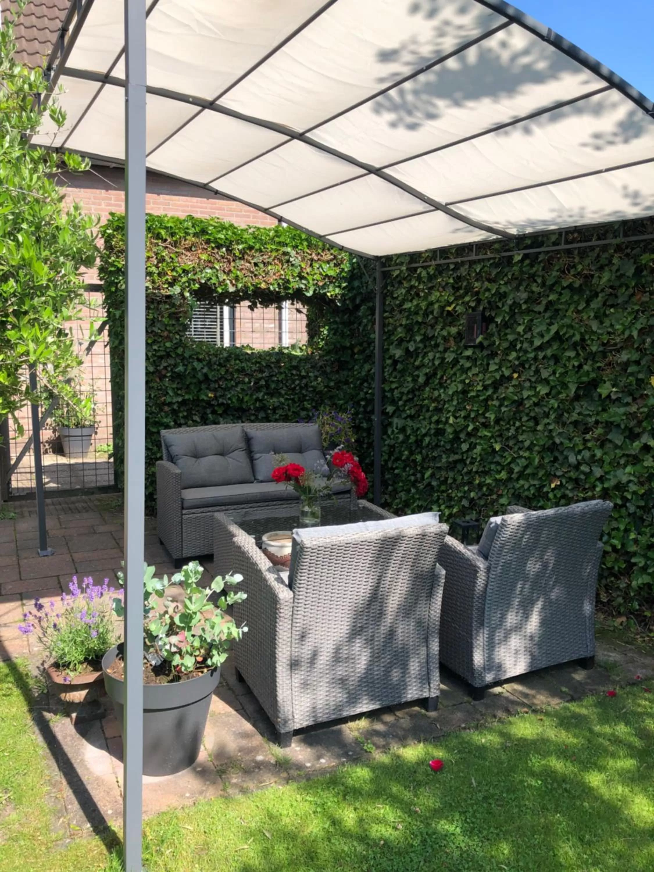 Garden in Tiny House Boatshed