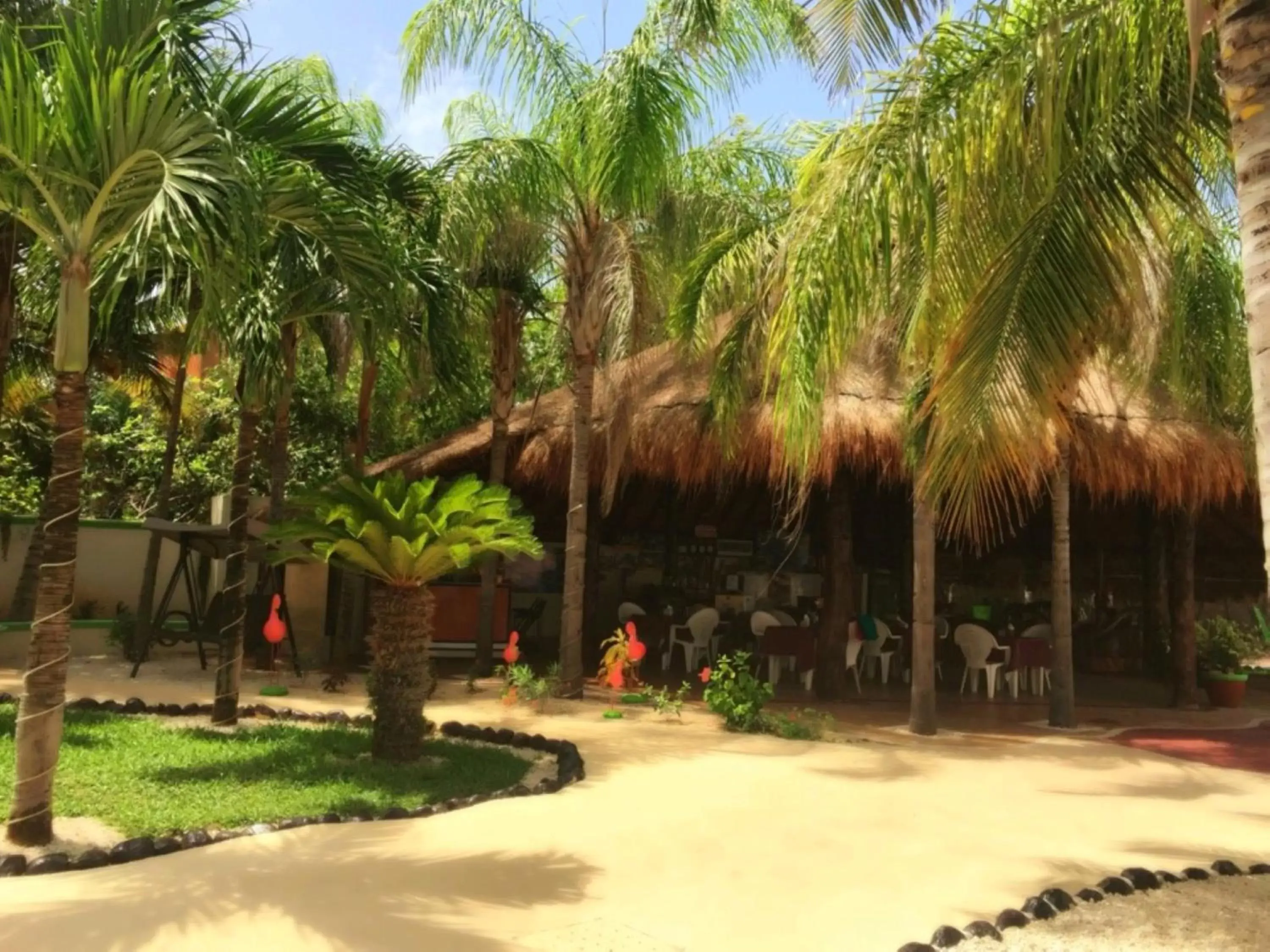 Lobby or reception in Villas Coco Resort - All Suites Lobby or reception in Villas Coco Resort - All Suites