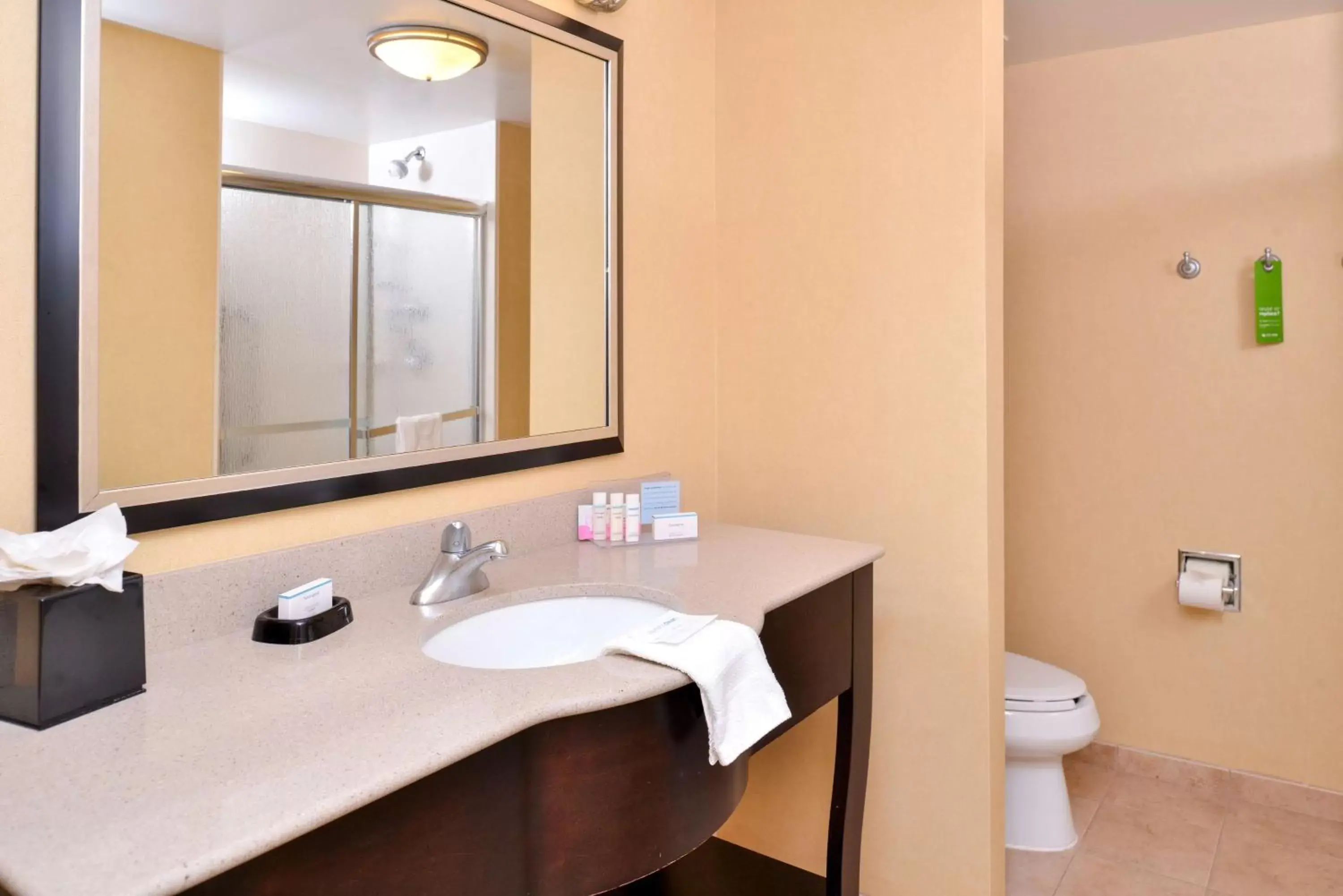 Bathroom in Hampton Inn & Suites Fort Belvoir Alexandria South