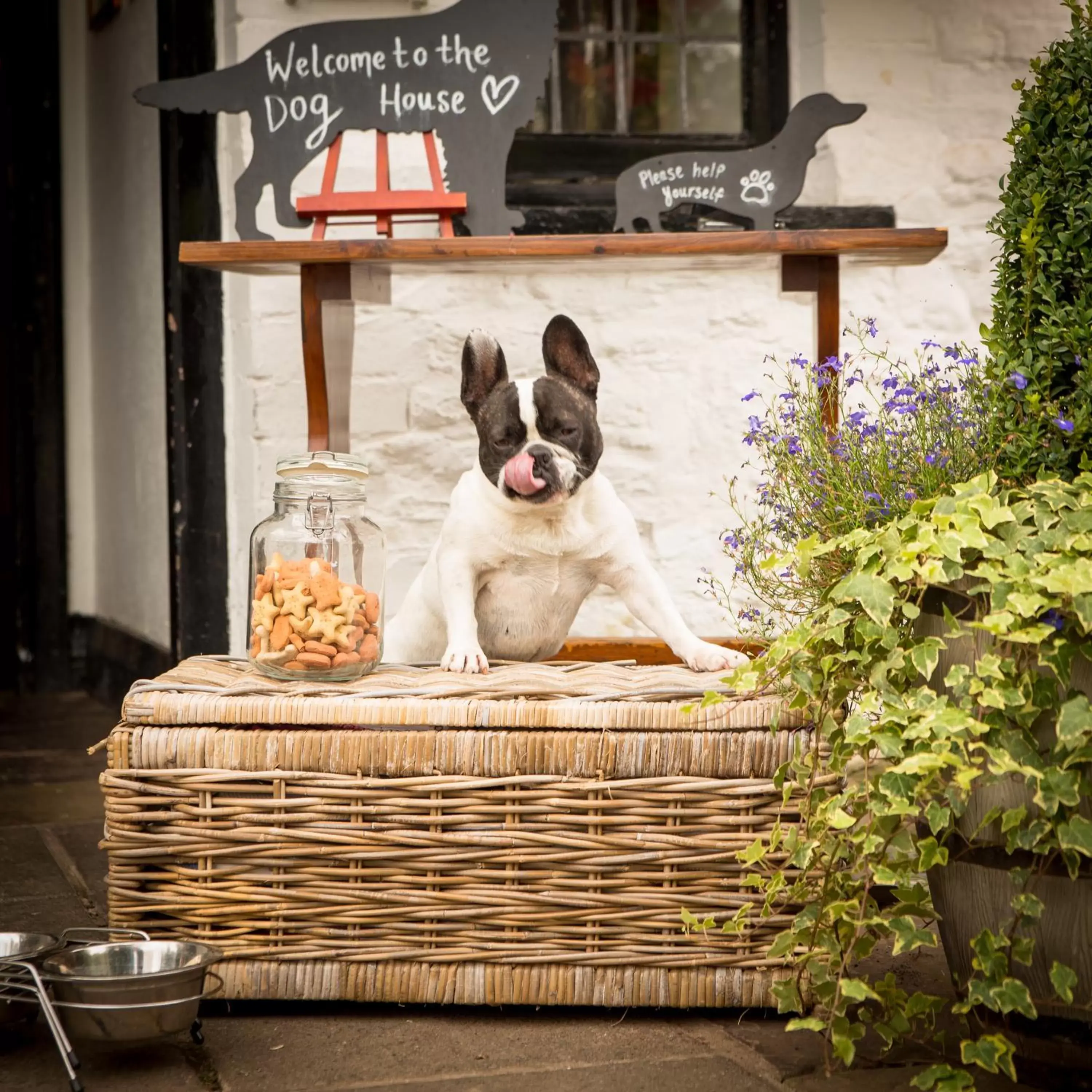 Facade/entrance, Pets in The Greyhound Inn and Hotel