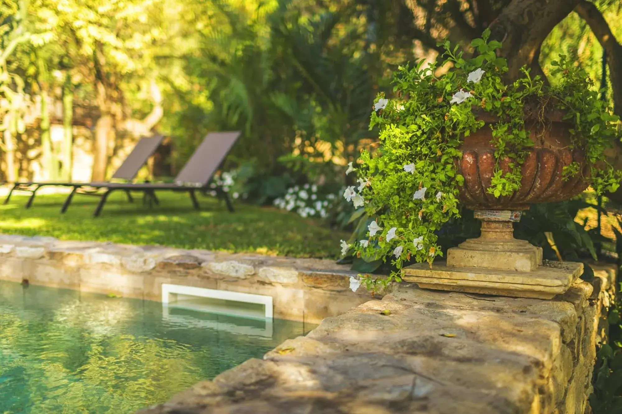 Patio, Swimming Pool in Ngonia Bay