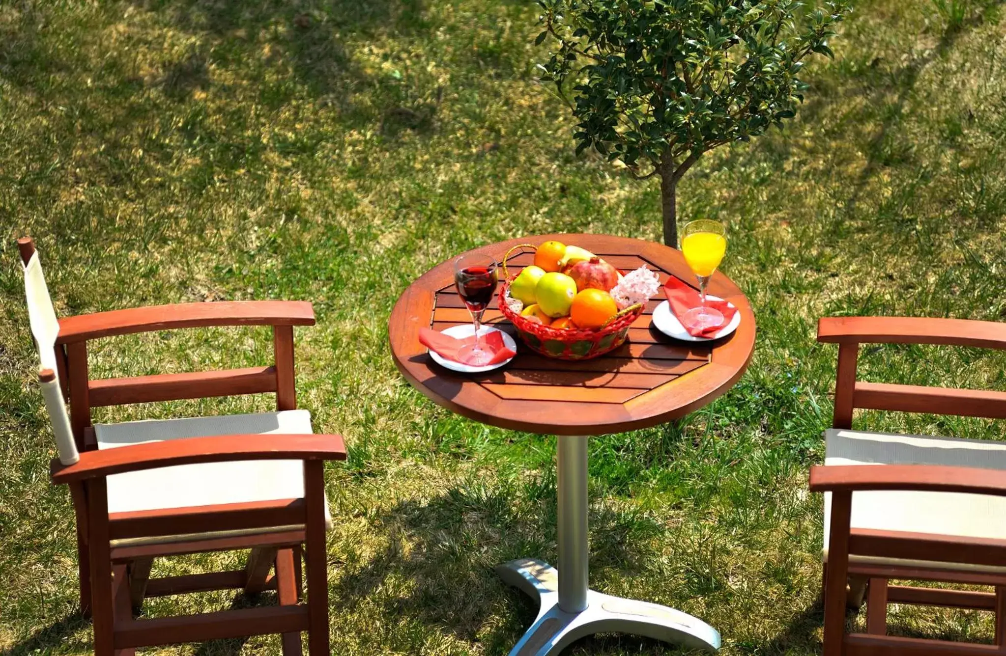 Garden in Konitsa Mountain Hotel