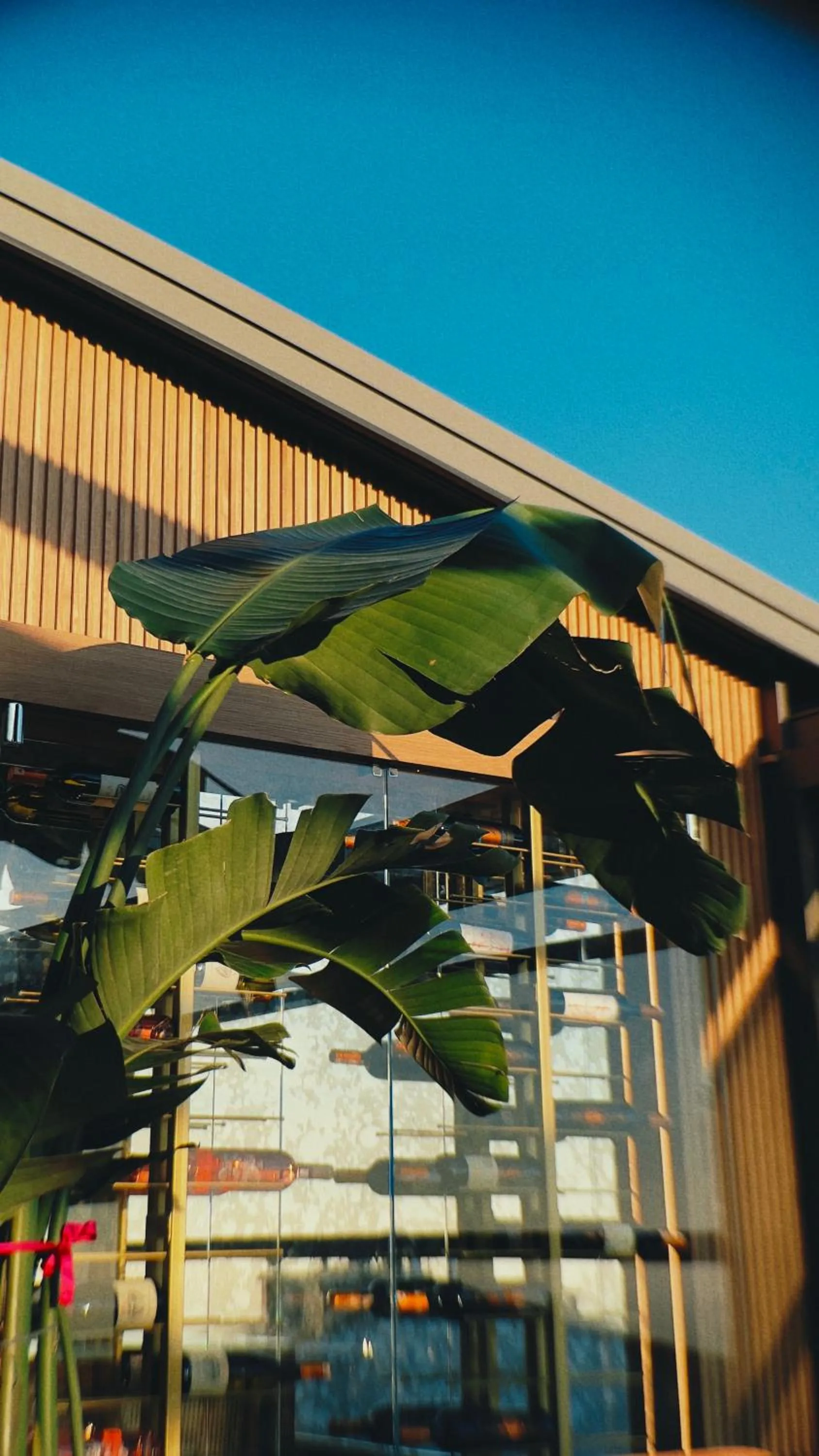 Restaurant/places to eat in Innova Sultanahmet Istanbul